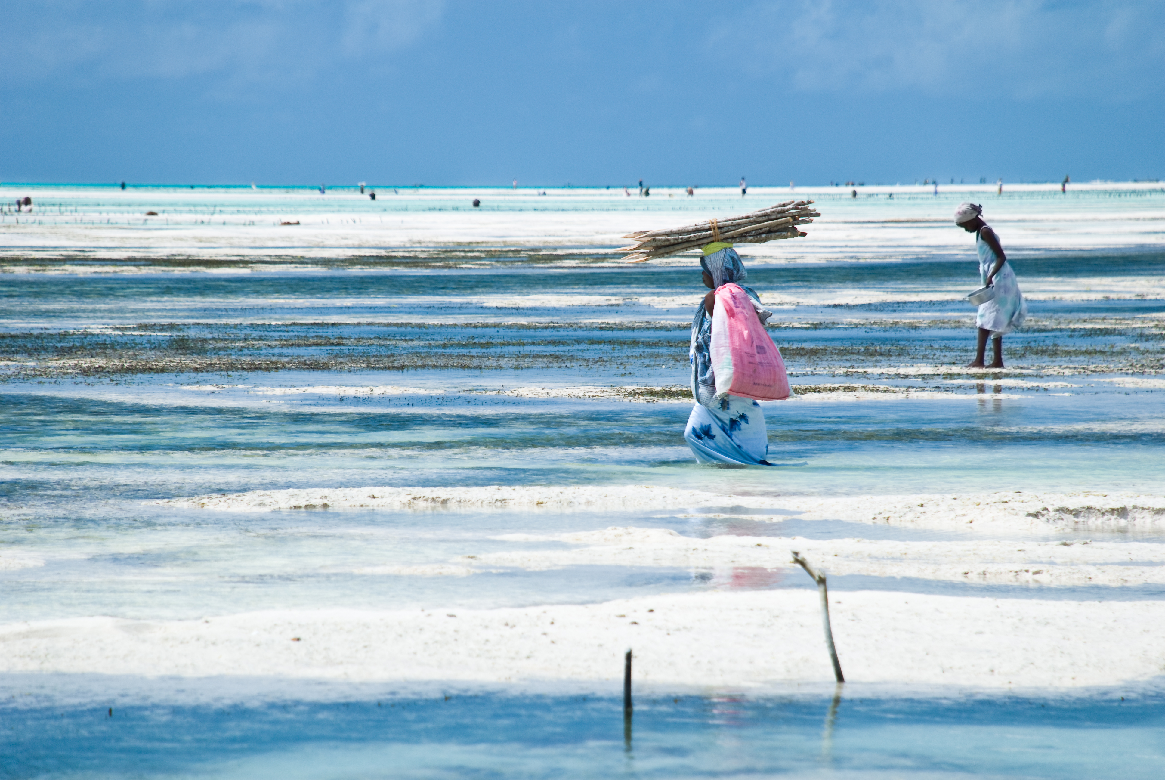 Istock 458110505