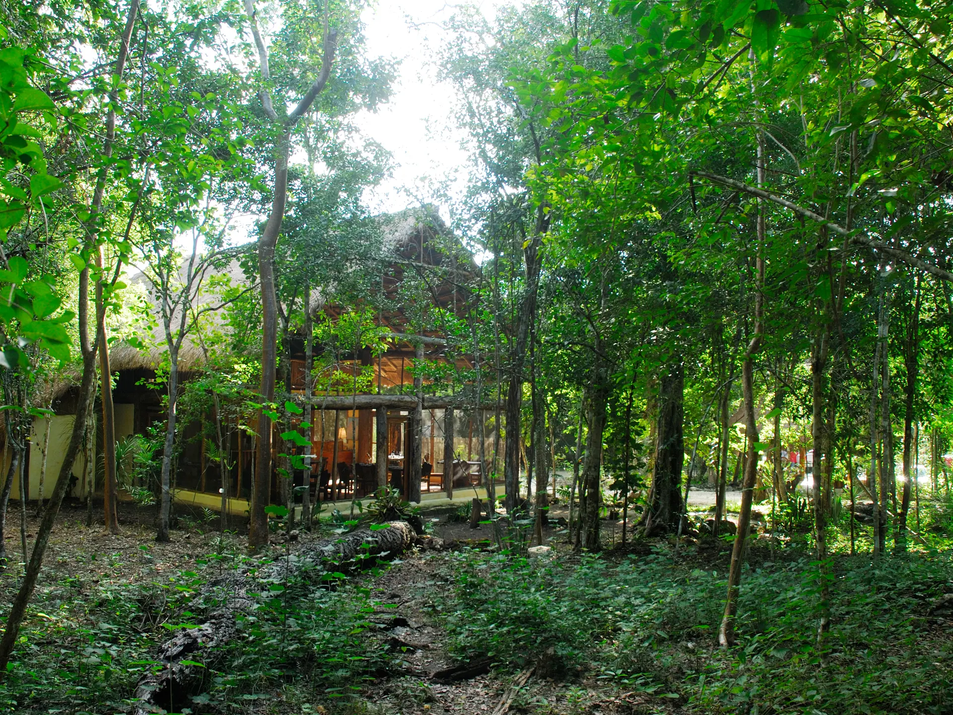 Exterior 2.jpg
