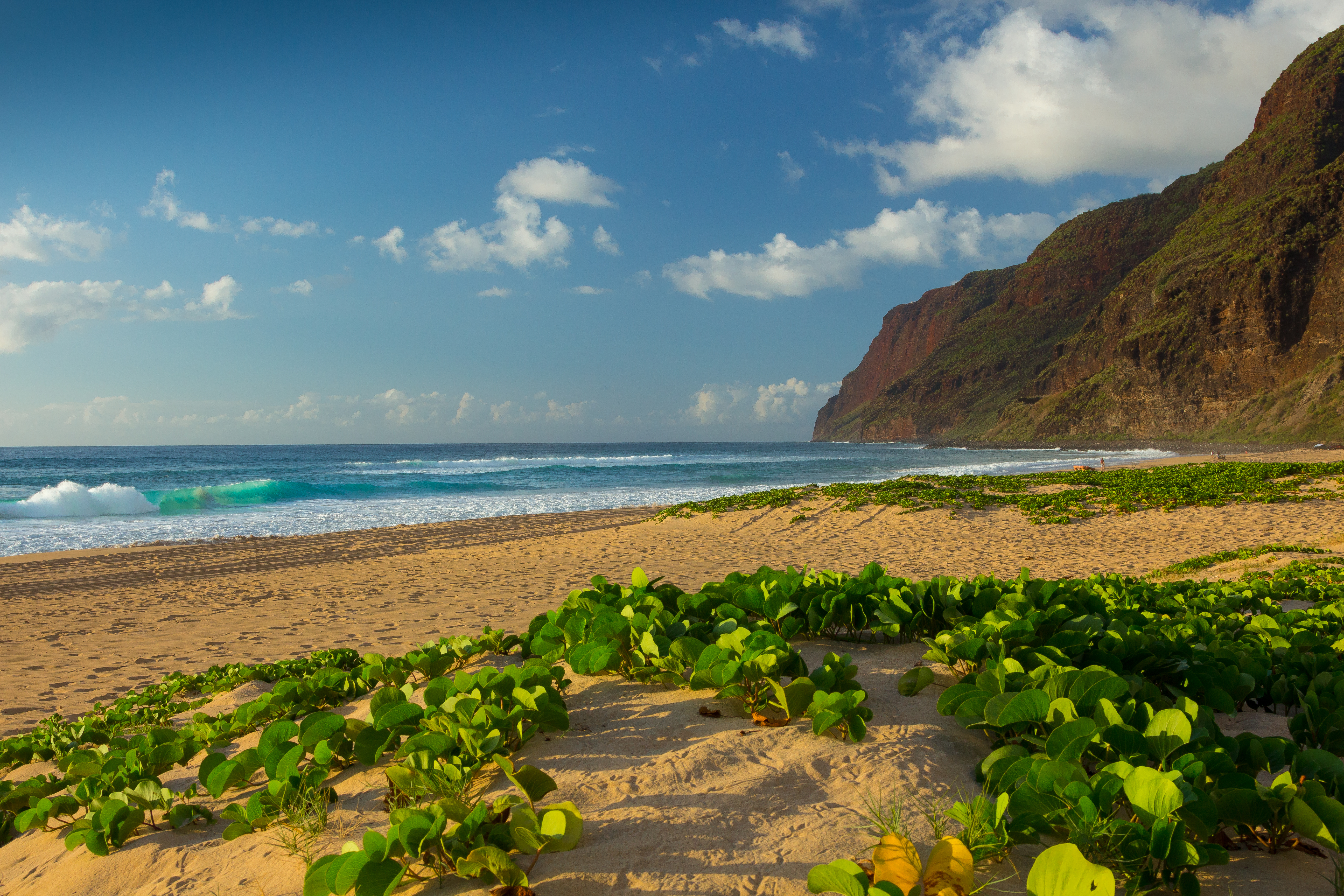 shutterstock_616691981 Last ray of light at Polihale Beach Park at the paradise Island Kauai of Hawaii..jpg
