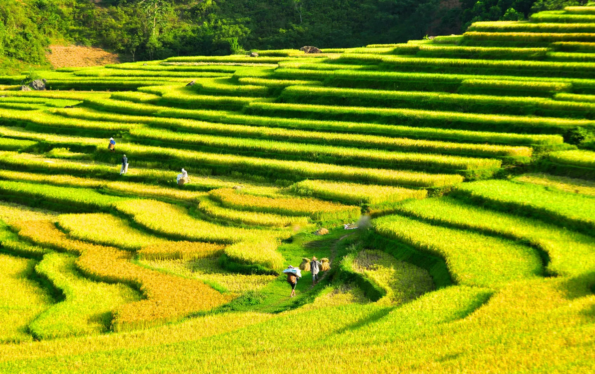 Puluong_retreat_Vietnam_landscape18.jpg