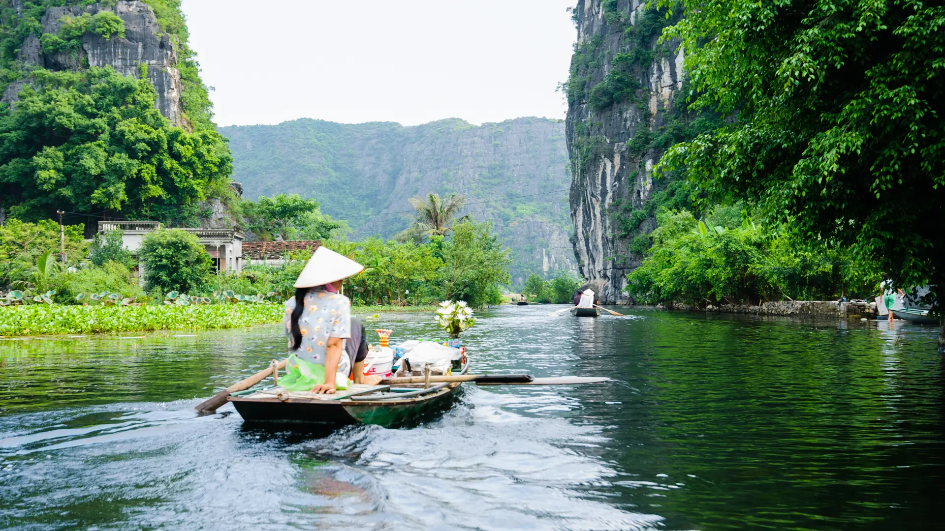 NINH BINH - Smukke flade rismarker kantes af majestætiske kalkstensklipper så langt øjet rækker.