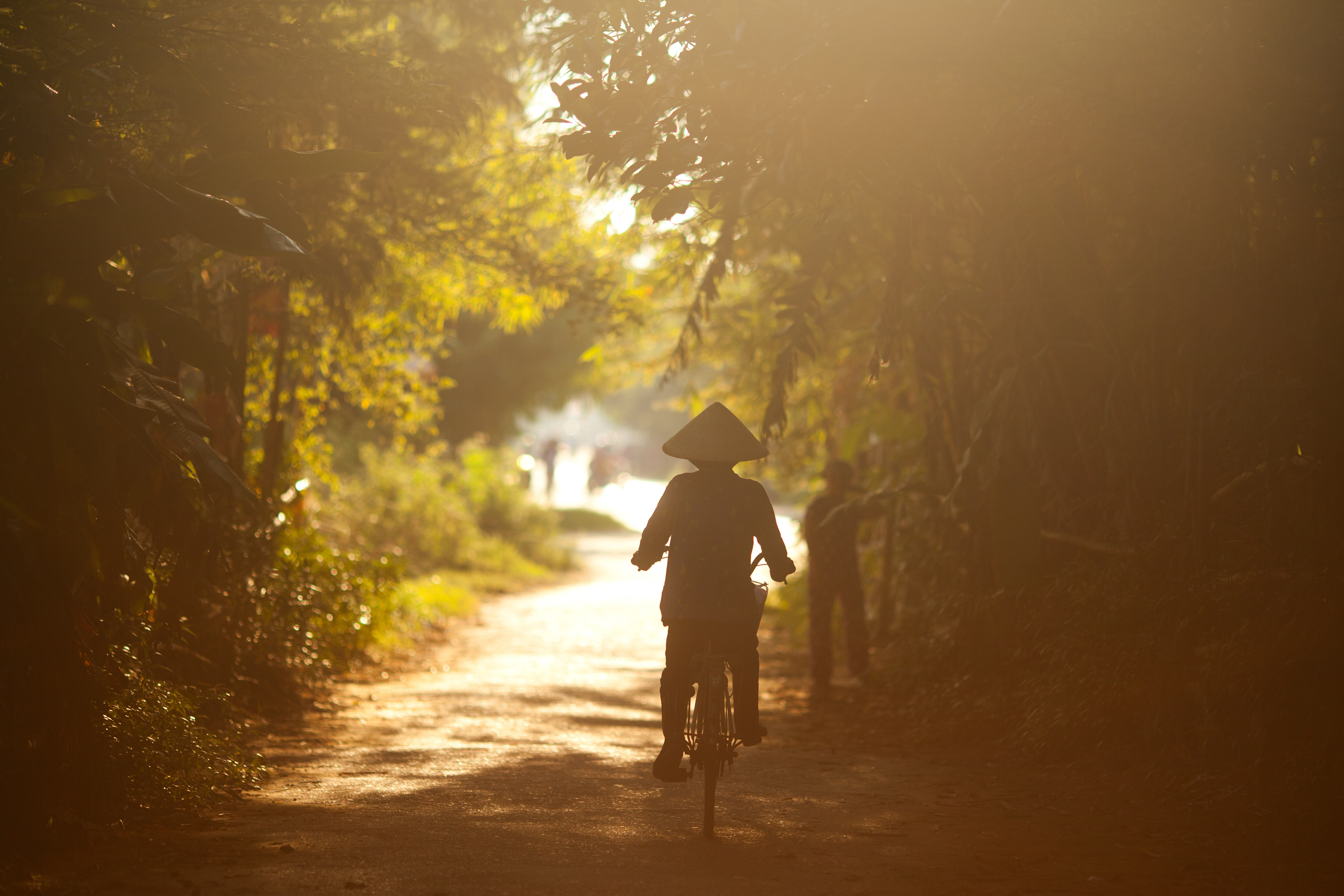 shutterstock_541408036 A woman rides her bicycle on a small road close to Hoi An, Vietnam..jpg