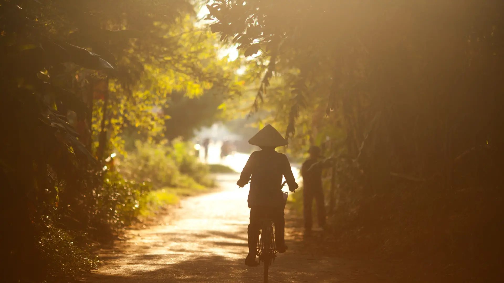 shutterstock_541408036 A woman rides her bicycle on a small road close to Hoi An, Vietnam..jpg