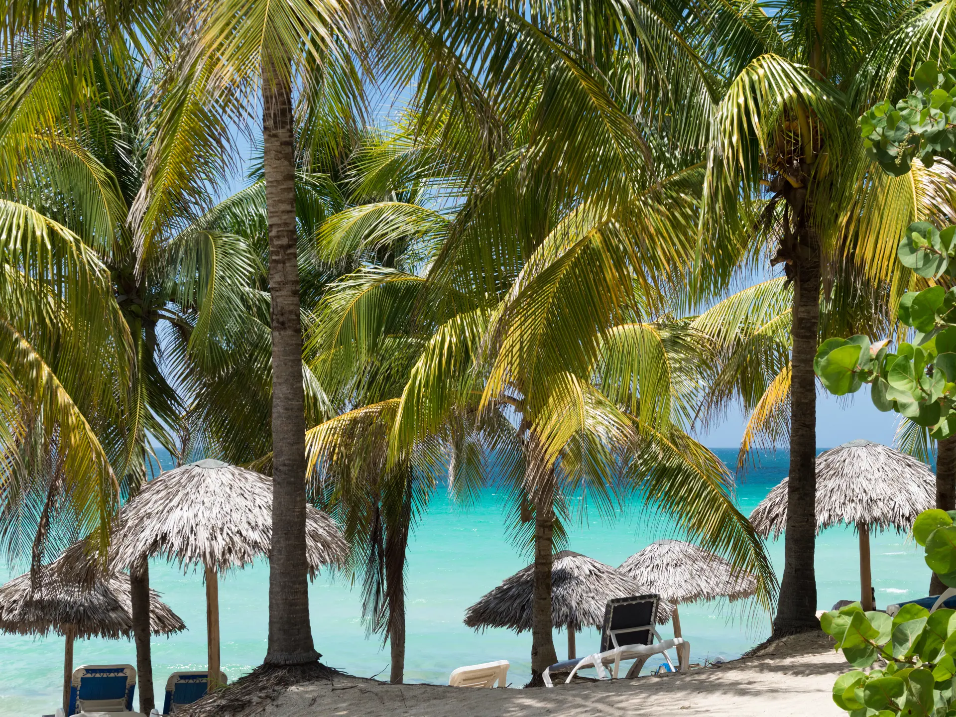 shutterstock_305970527 Varadero.jpg