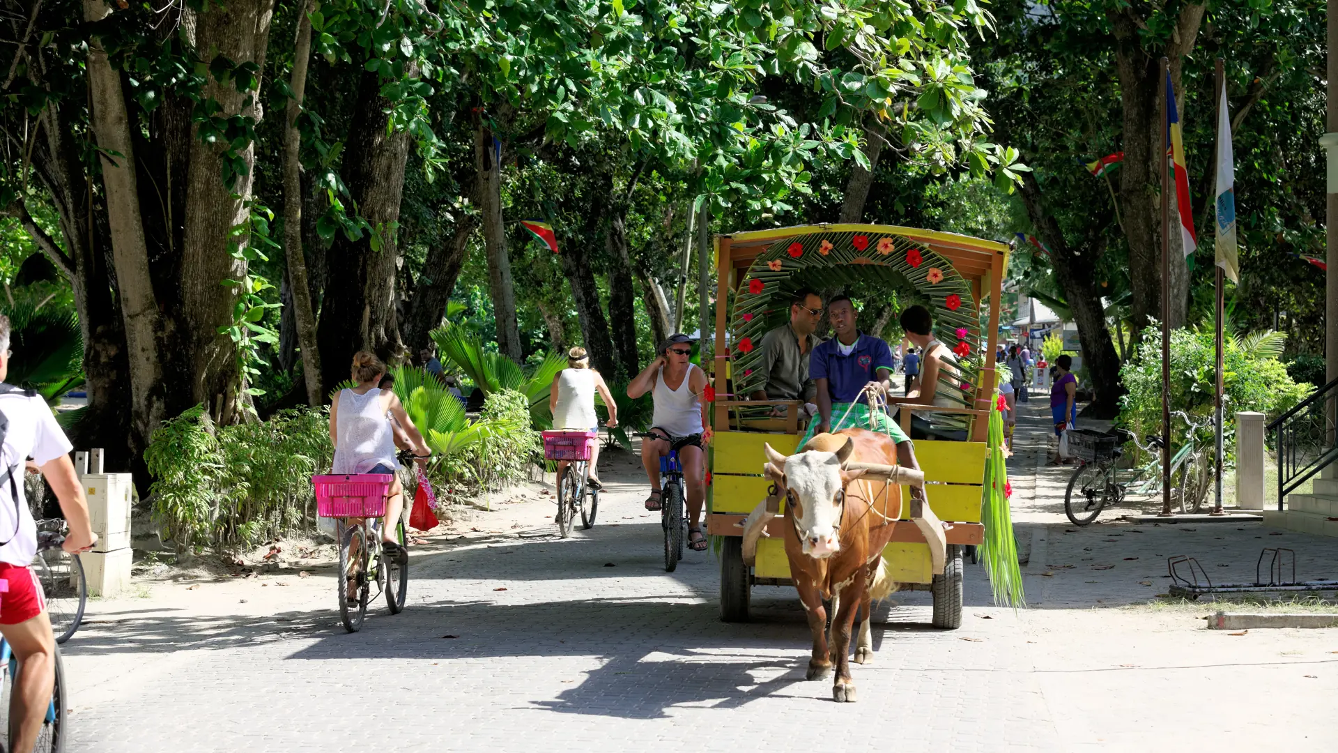209_STB 4 Oxcart La Digue_5760x3840.jpg
