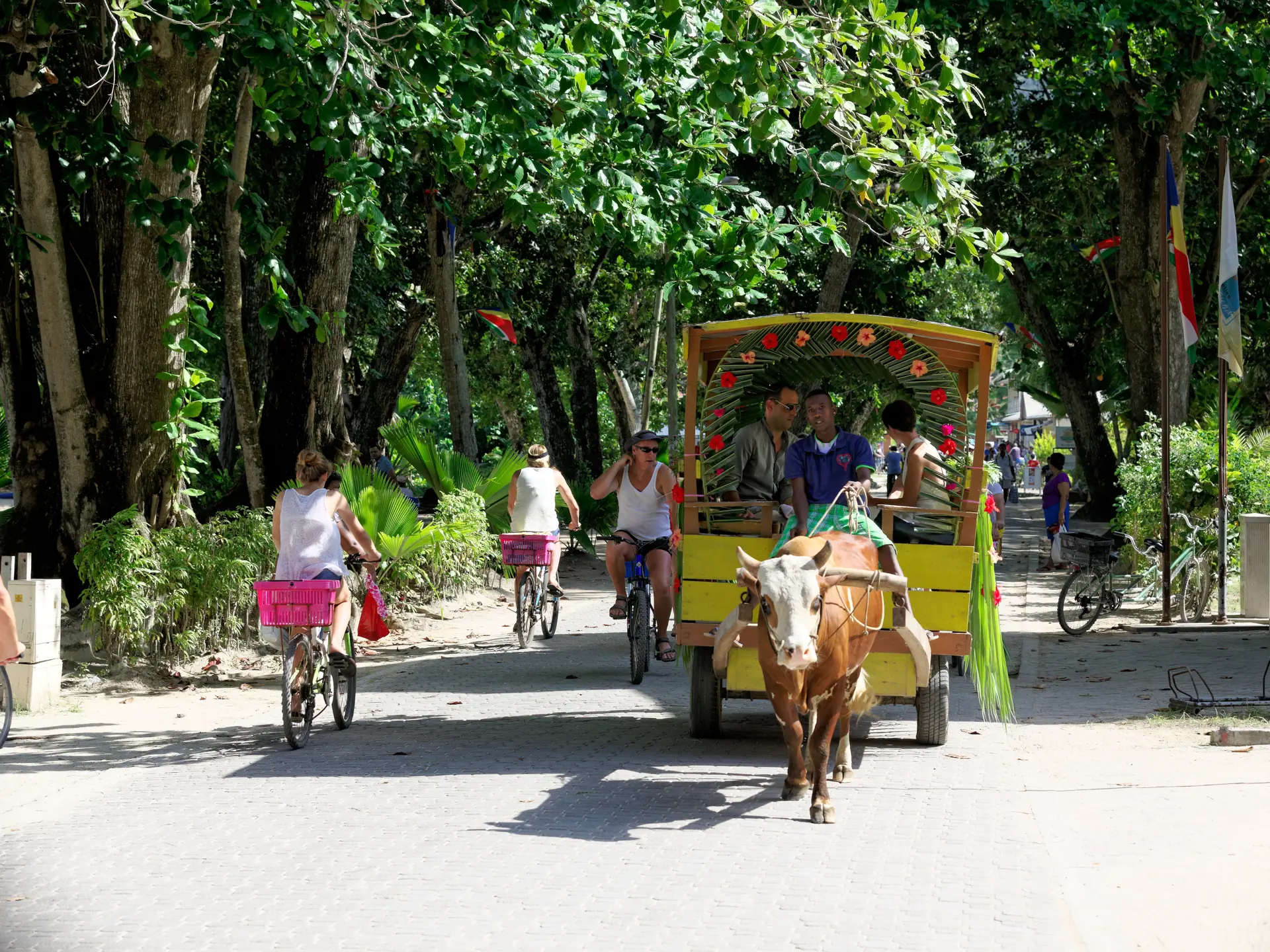 209_STB 4 Oxcart La Digue_5760x3840.jpg