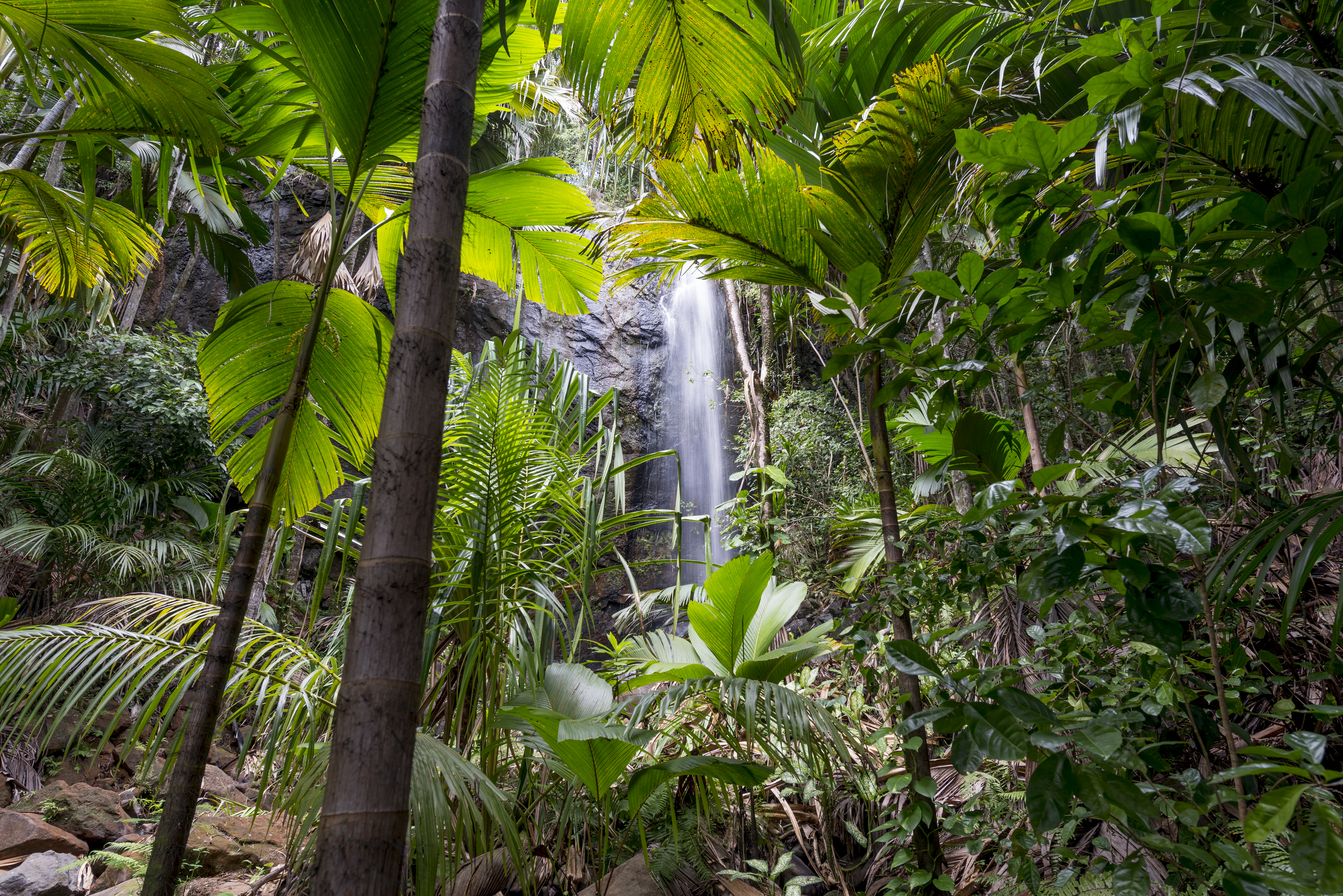223_STB 13 Waterfall Vallee De Mai_4961x3311.jpg
