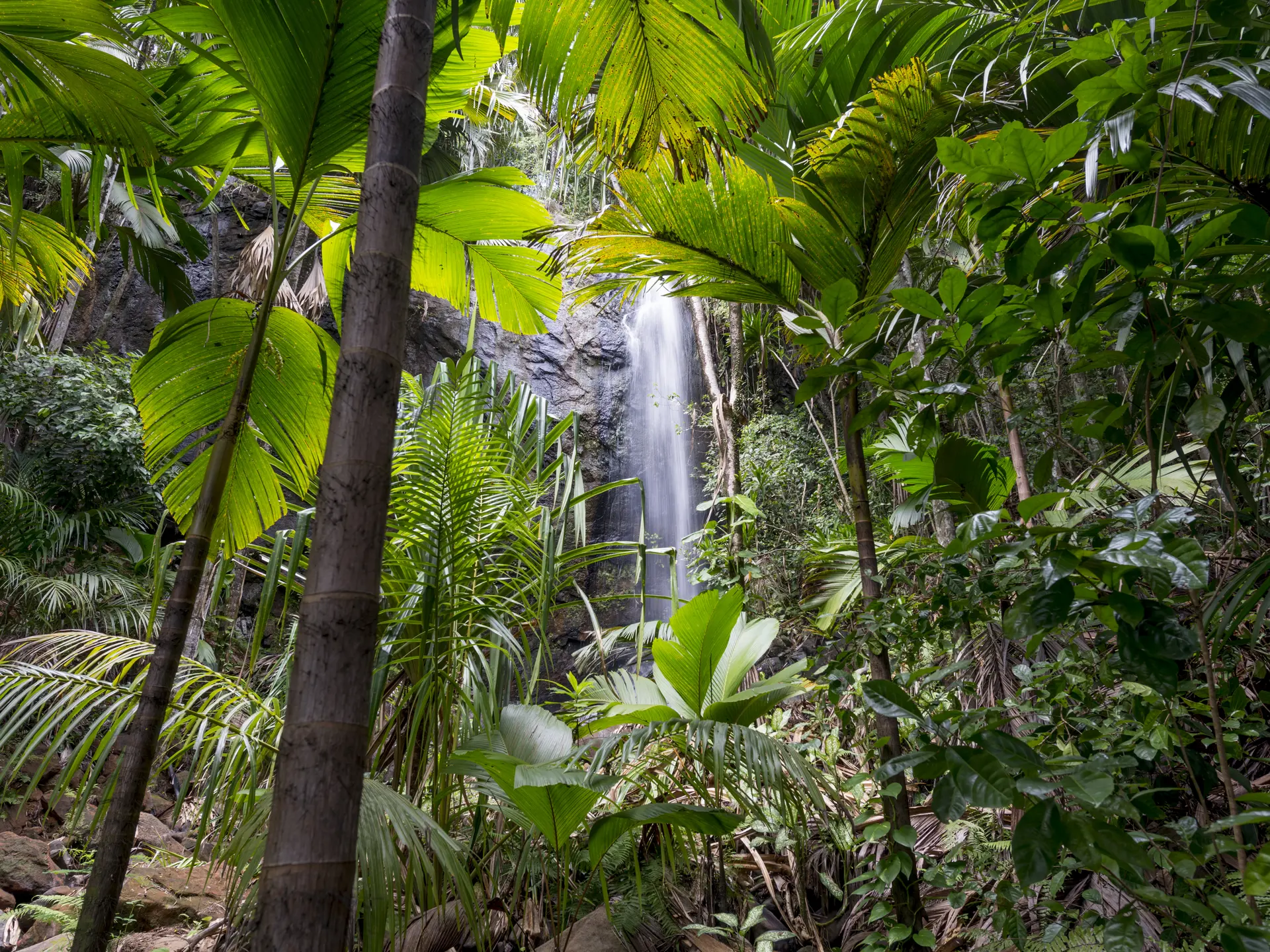 223_STB 13 Waterfall Vallee De Mai_4961x3311.jpg