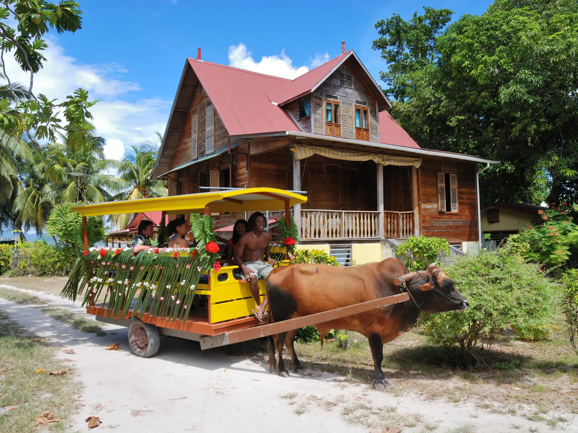 269_IMG4 Ox Cart & Old House_3872x2592.jpg