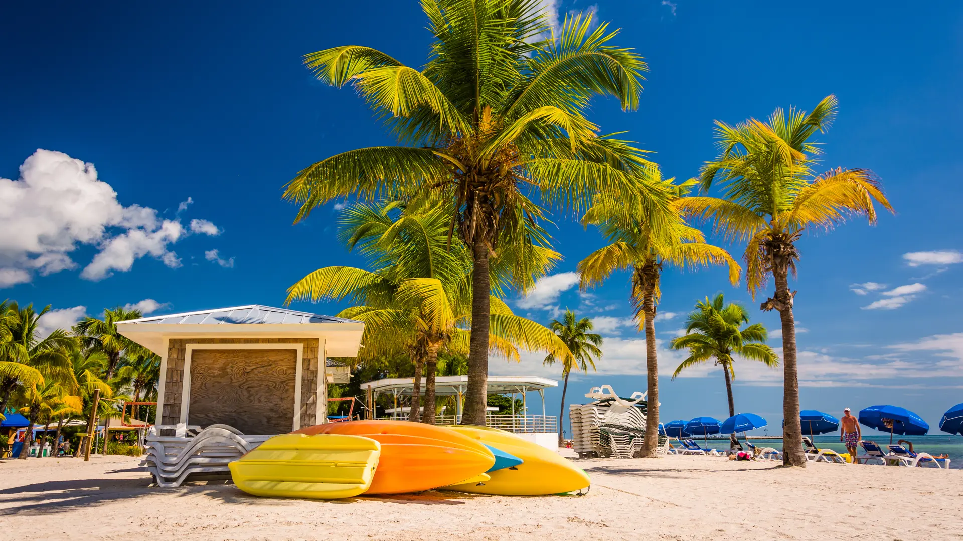 shutterstock_231696448 Palm trees on the beach in Key West, Florida..jpg