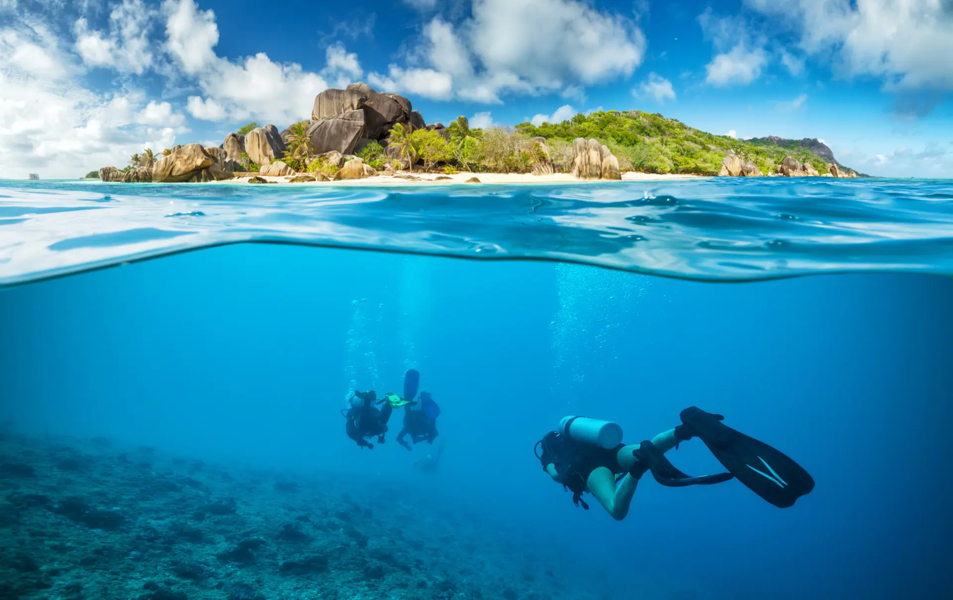 shutterstock_499556200 Divers below the surface in Seychelles exploring corlas.jpg