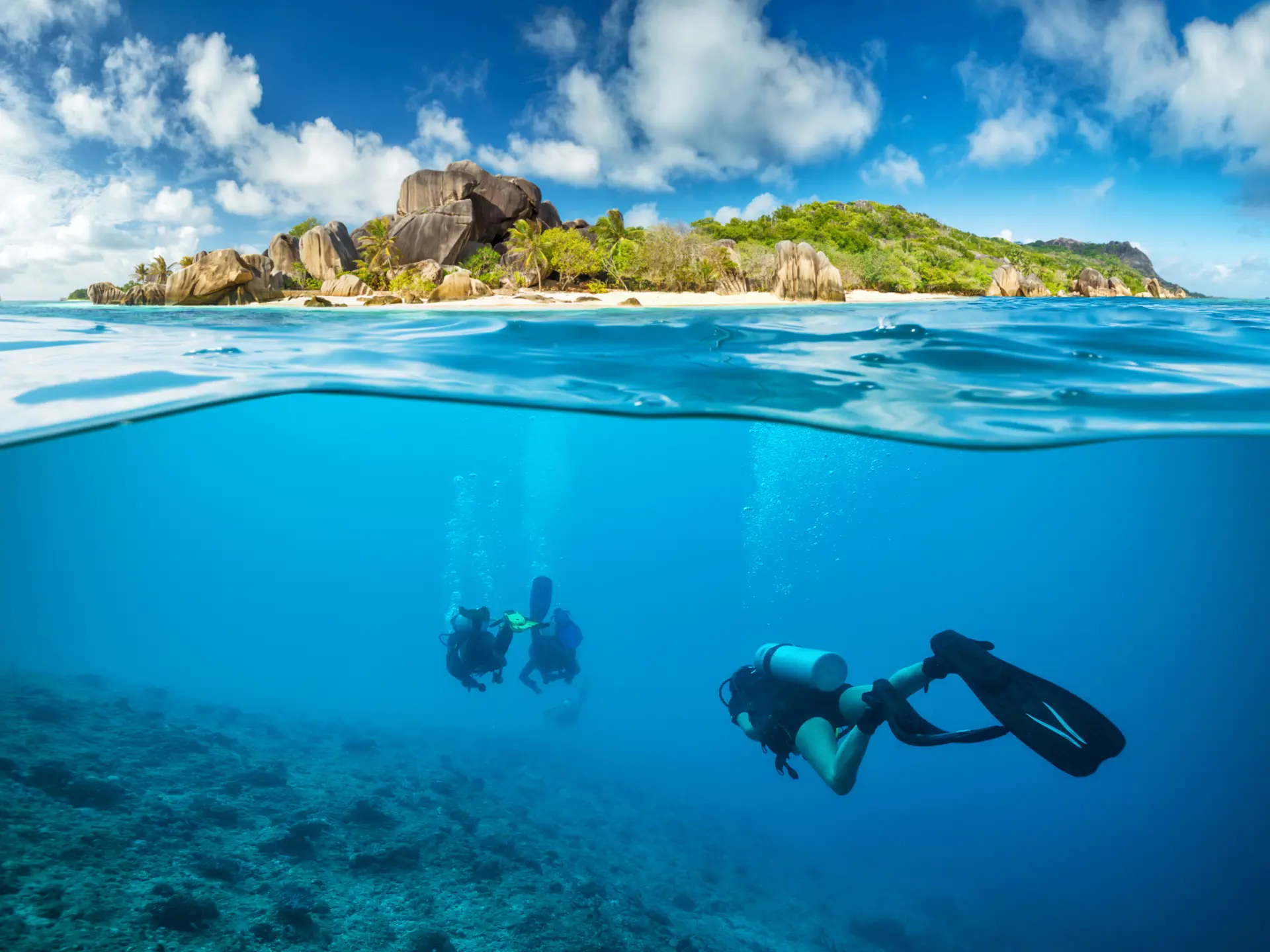 shutterstock_499556200 Divers below the surface in Seychelles exploring corlas.jpg