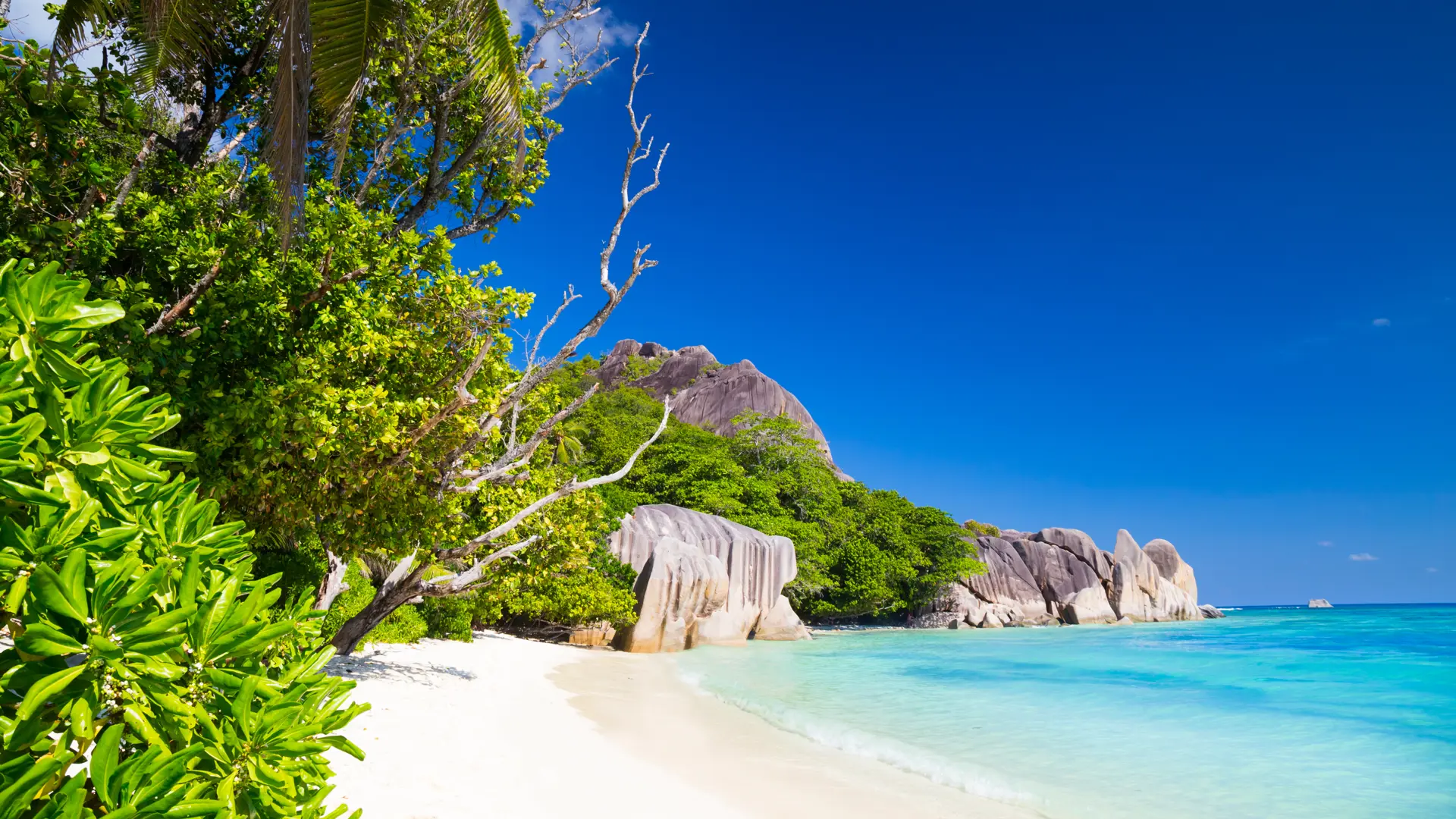 shutterstock_668853700 White sand of a wide beach in tropical paradise of Anse Source d'Argent on La Digue Island, Seychelles.jpg
