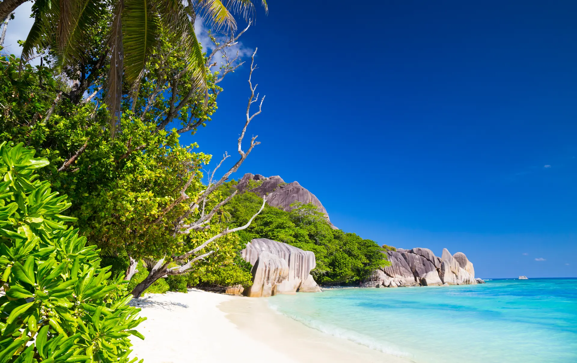 shutterstock_668853700 White sand of a wide beach in tropical paradise of Anse Source d'Argent on La Digue Island, Seychelles.jpg