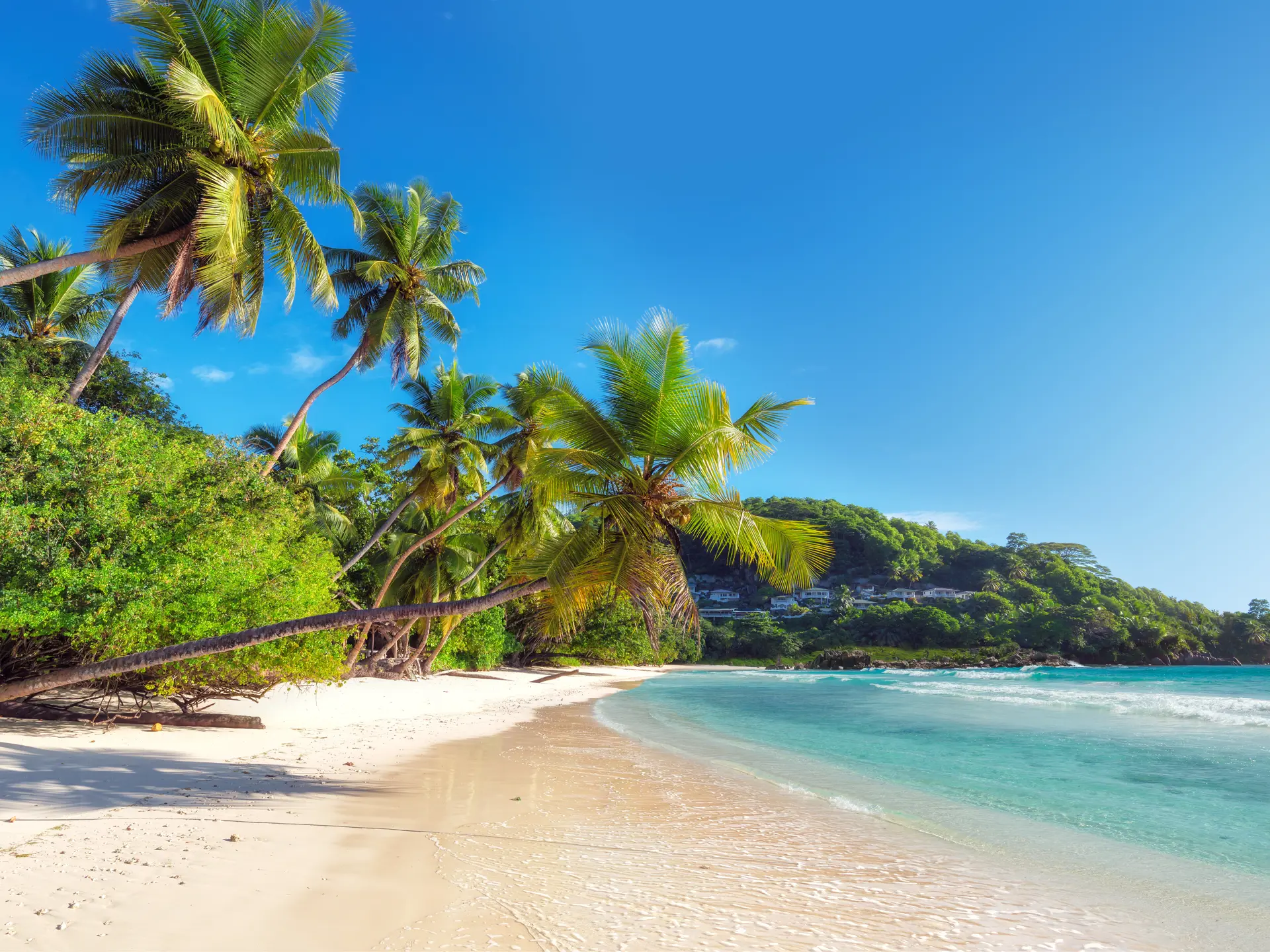 shutterstock_651093142.jpg