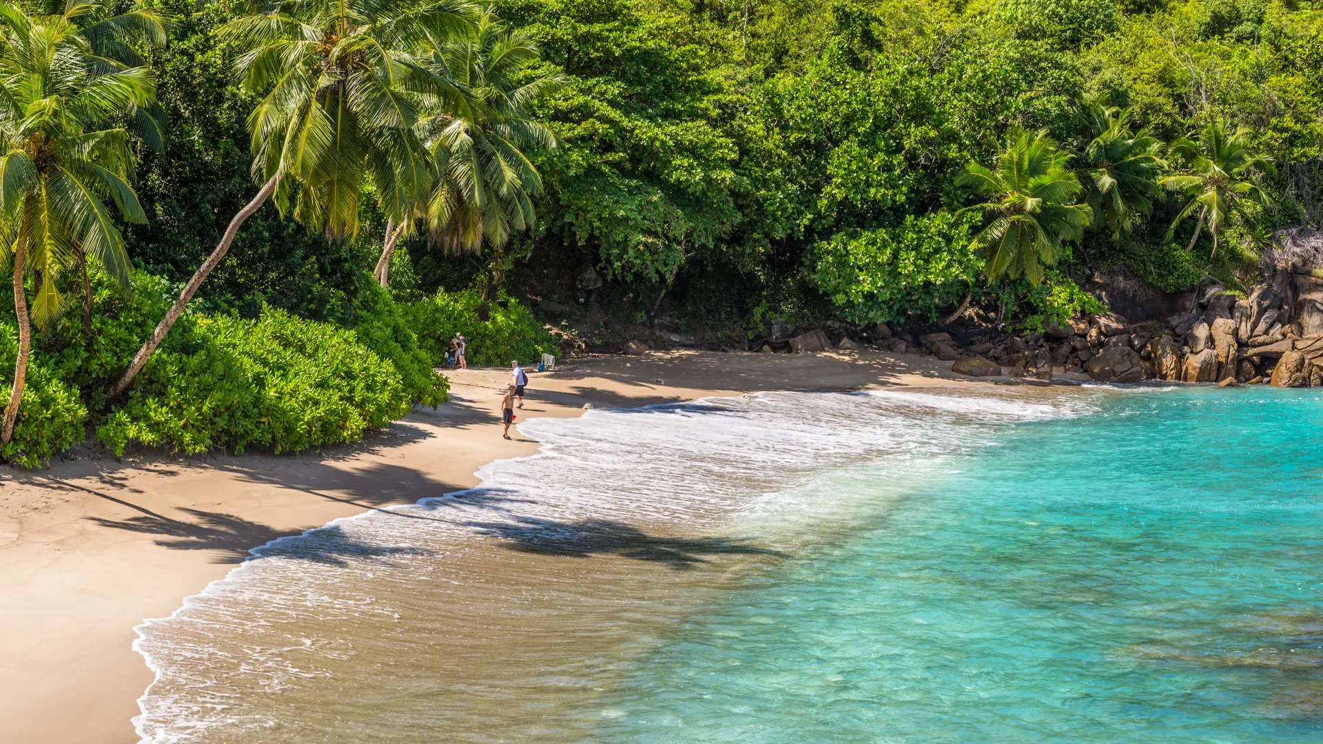 shutterstock_617614070 Anse Major, Mahe, Seychelles part of the Baie Tarney Marine National Park.jpg