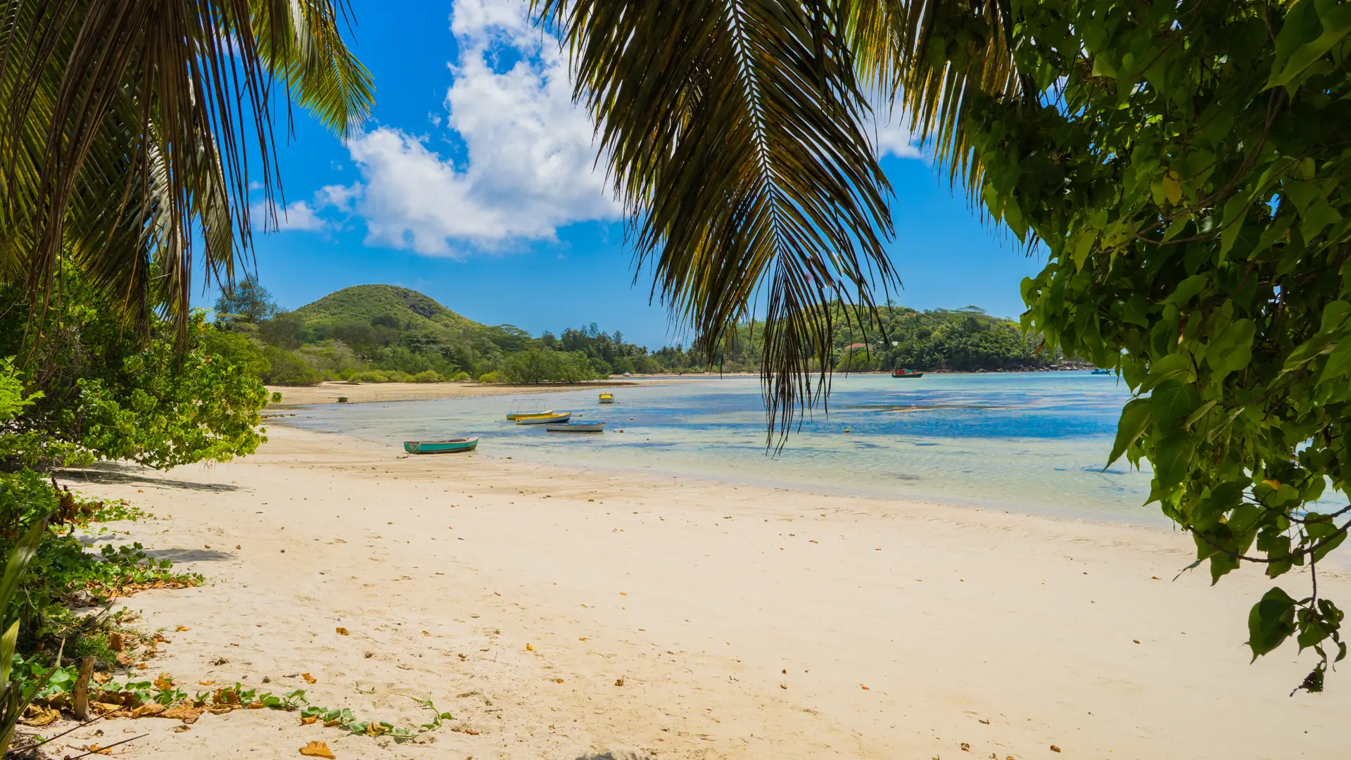 shutterstock_504532693 Fisherman's boat docked by the beach of Anse Boileau in Seychelles island.jpg