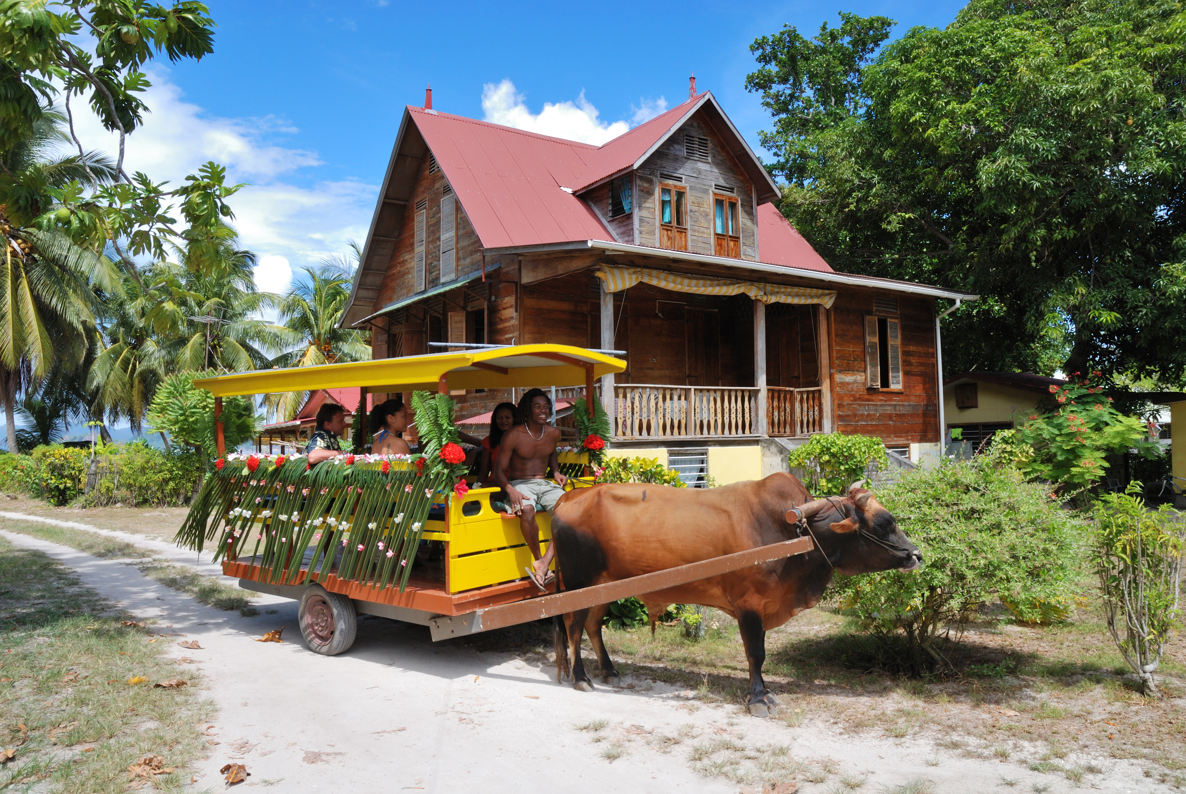 269_IMG4 Ox Cart & Old House_3872x2592.jpg