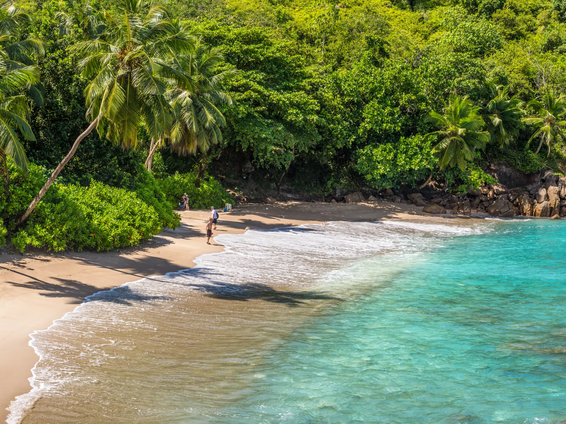 shutterstock_617614070 Anse Major, Mahe, Seychelles part of the Baie Tarney Marine National Park.jpg