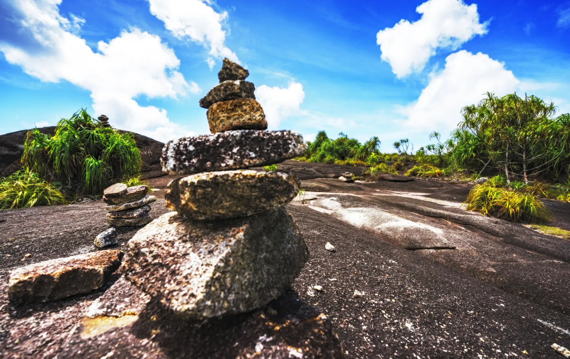 shutterstock_752115922 mount Copolia.jpg