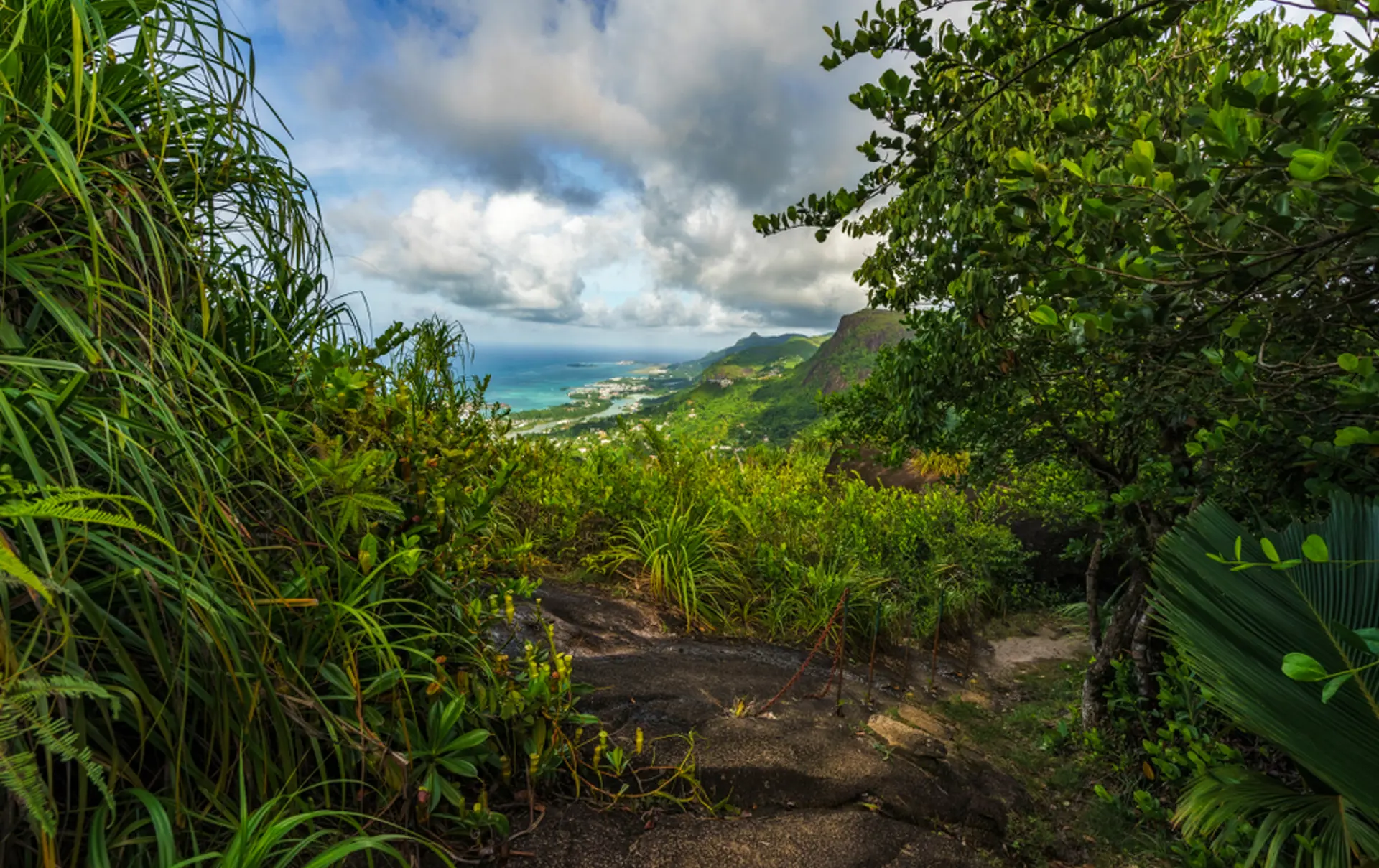 shutterstock_1018174654 Copolia trail jungle and rocks.jpg