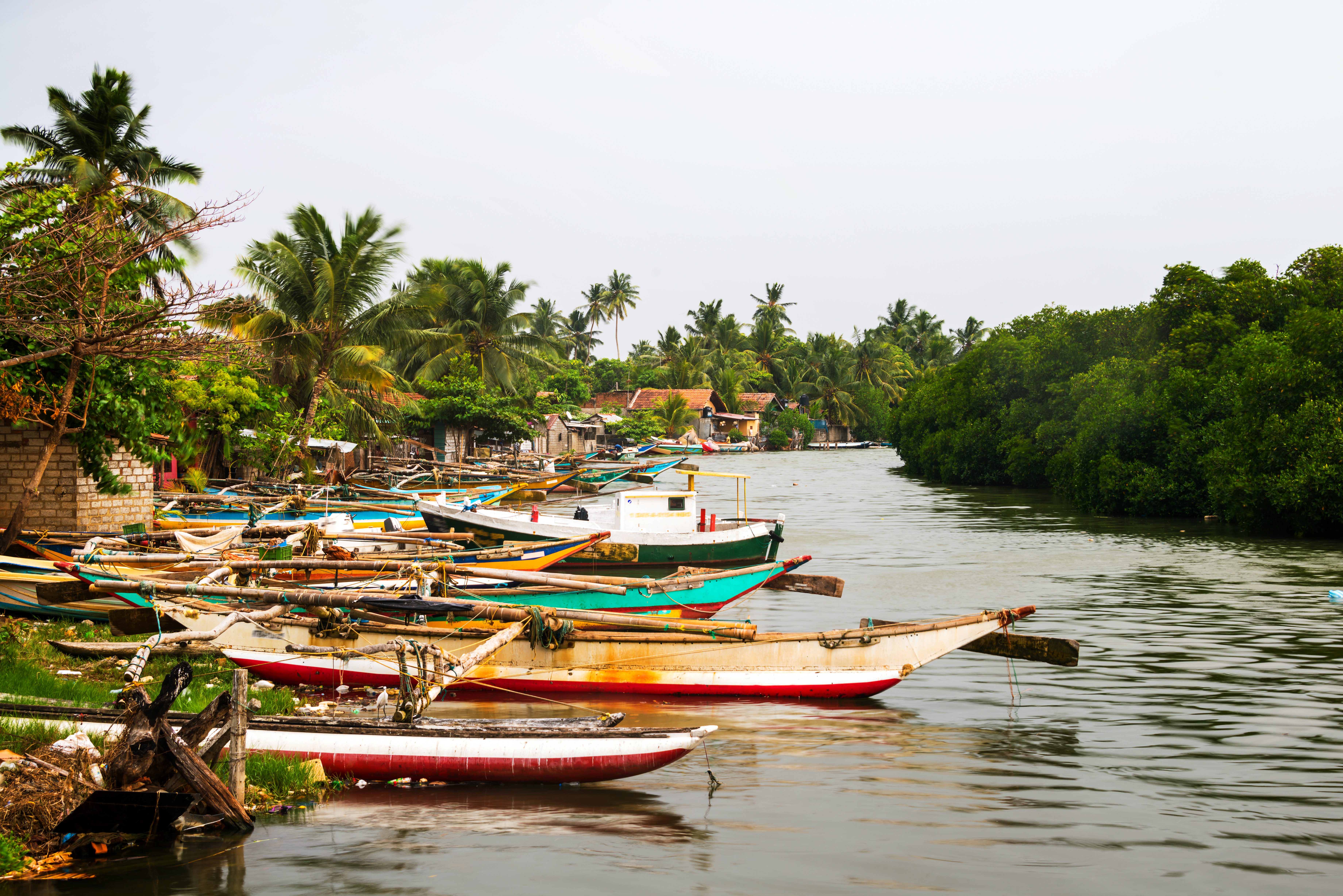 shutterstock_532550443 fiskerlandsby ved negombo.jpg