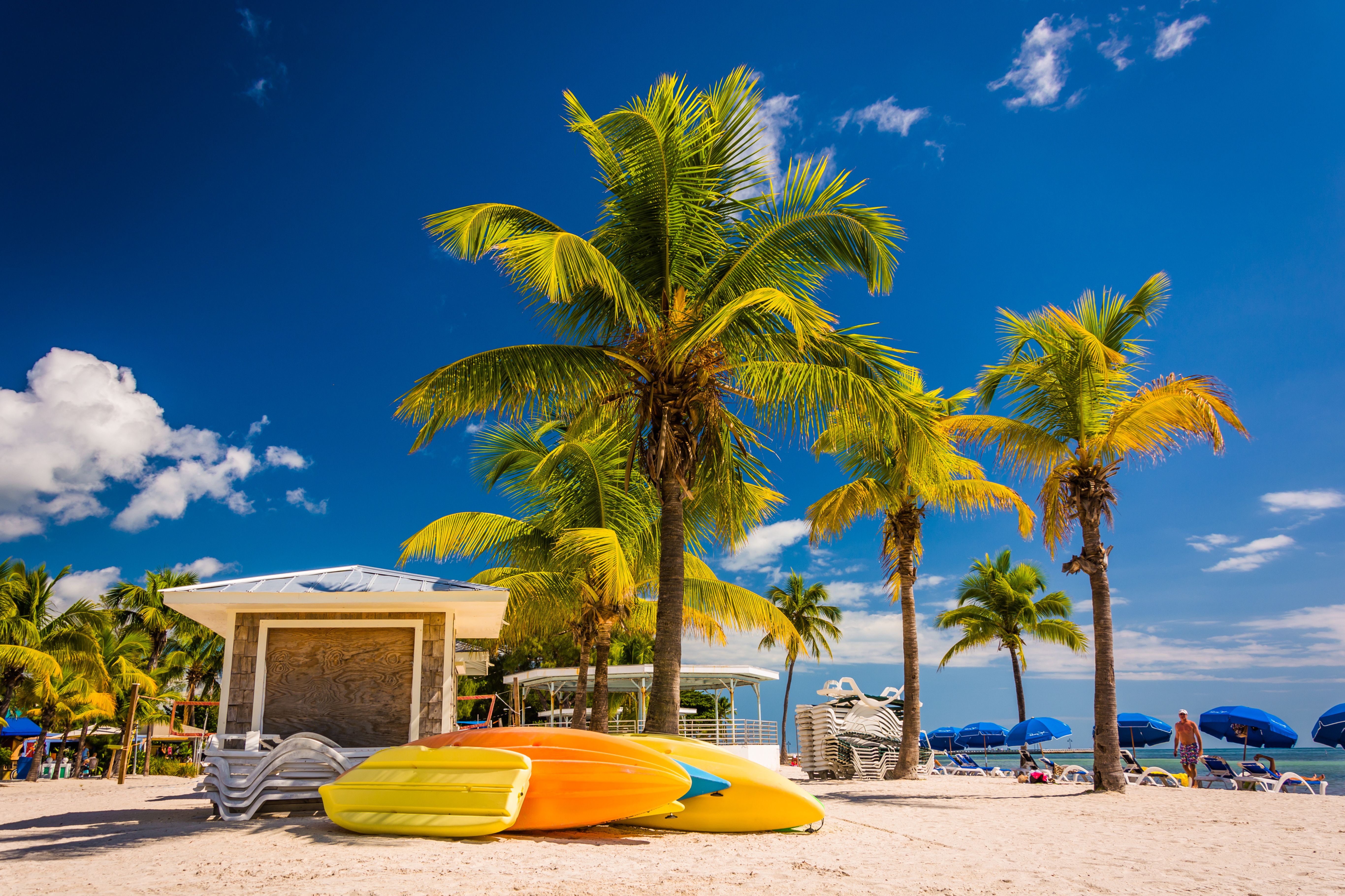 Palms In Key West