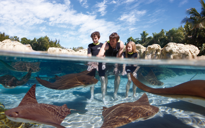 Discovery Cove Florida