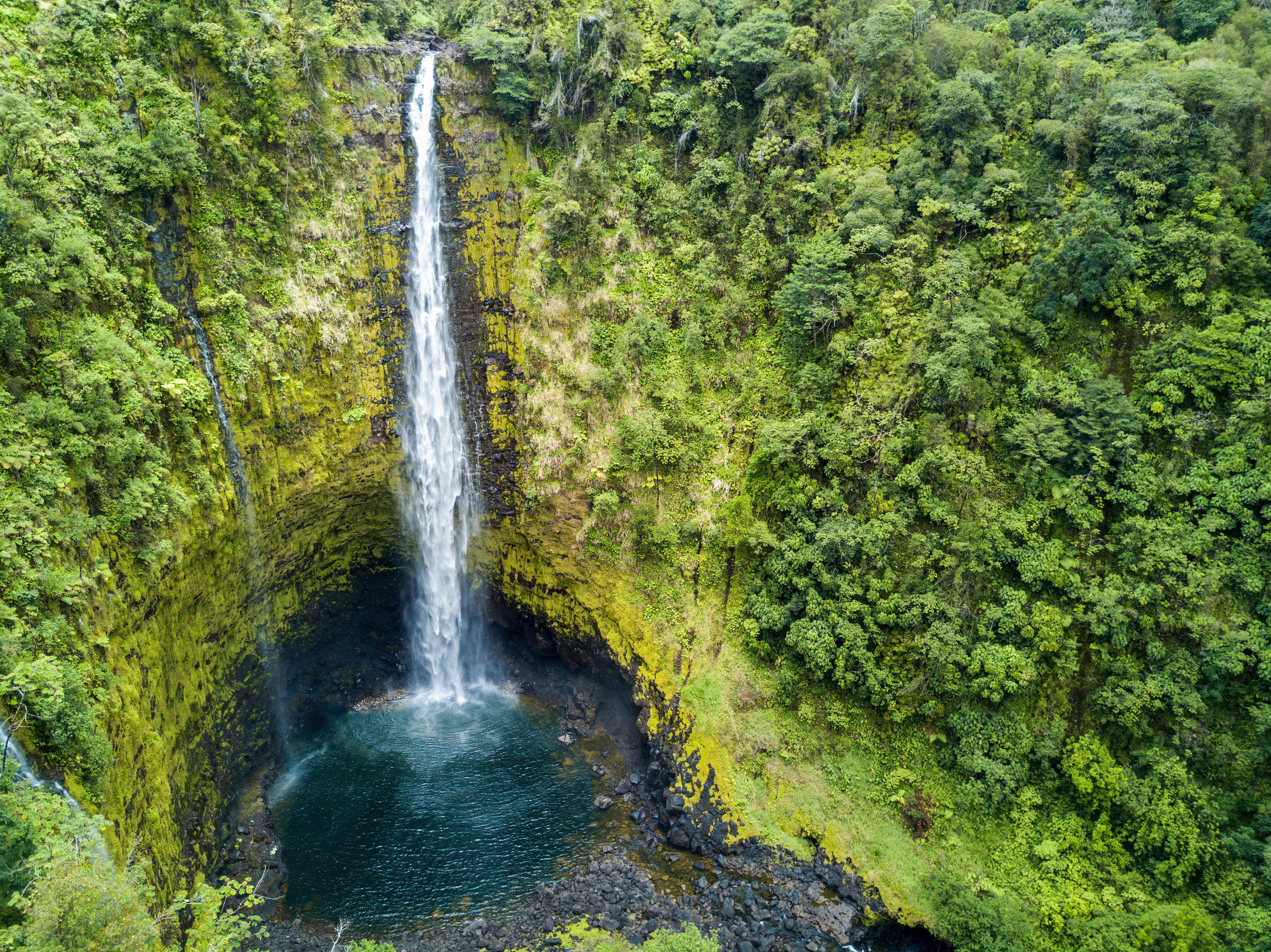 Akaka Falls Shutterstock 1550899853
