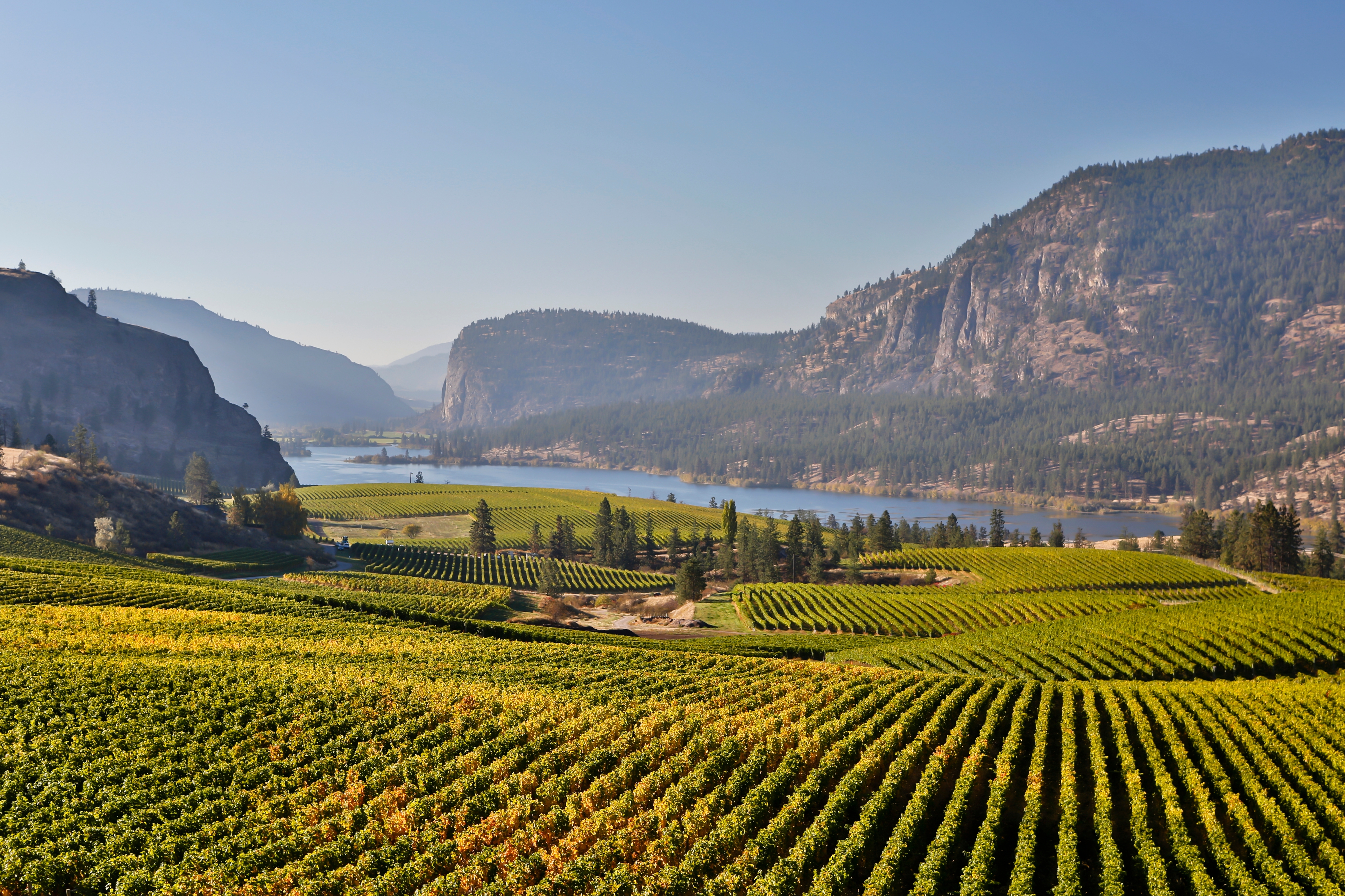 Okanagan Valley Kelowna Shutterstock 2563309573