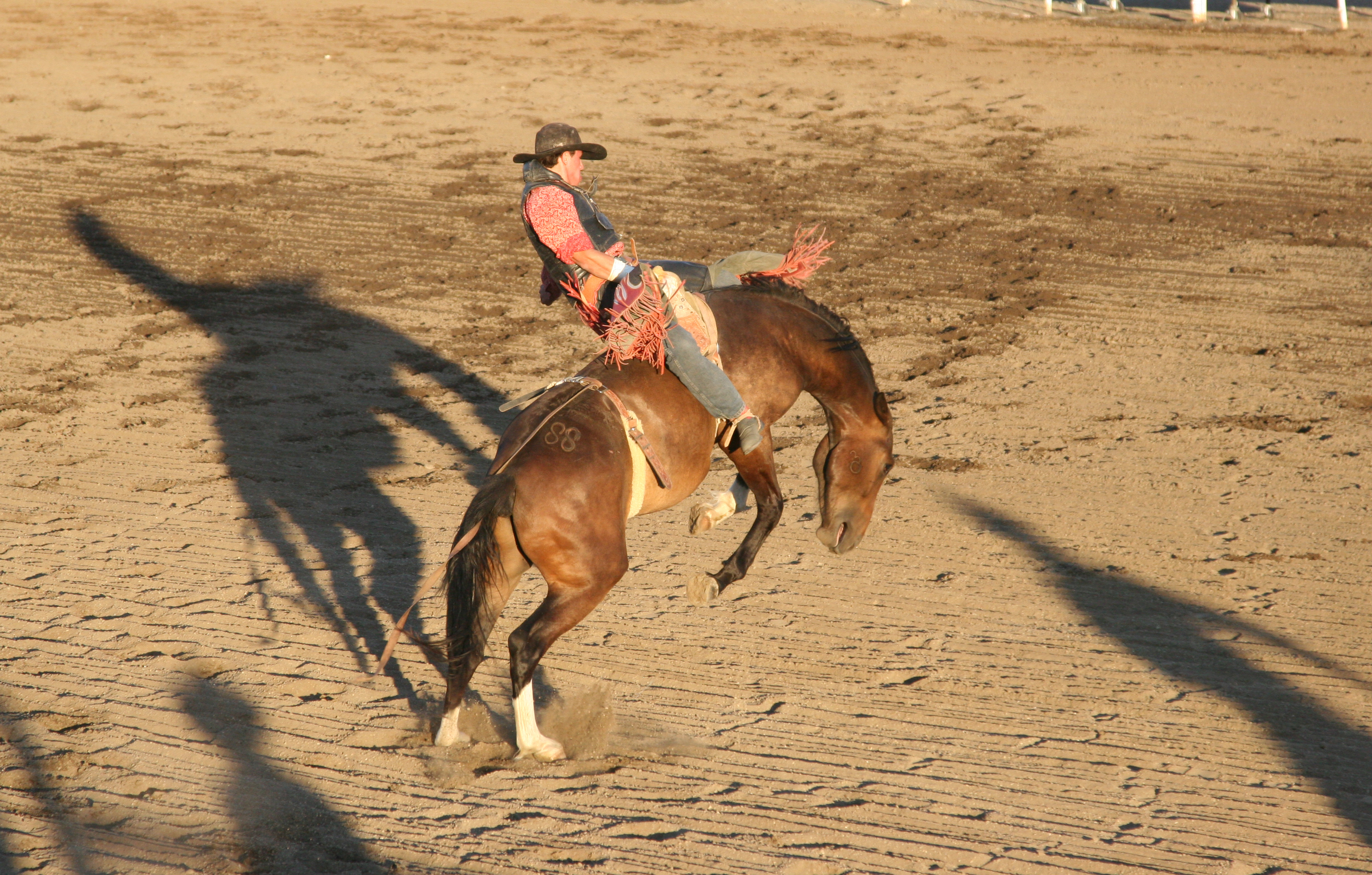 Shutterstock 4834843 Cody Stampede. Cody, Wyoming