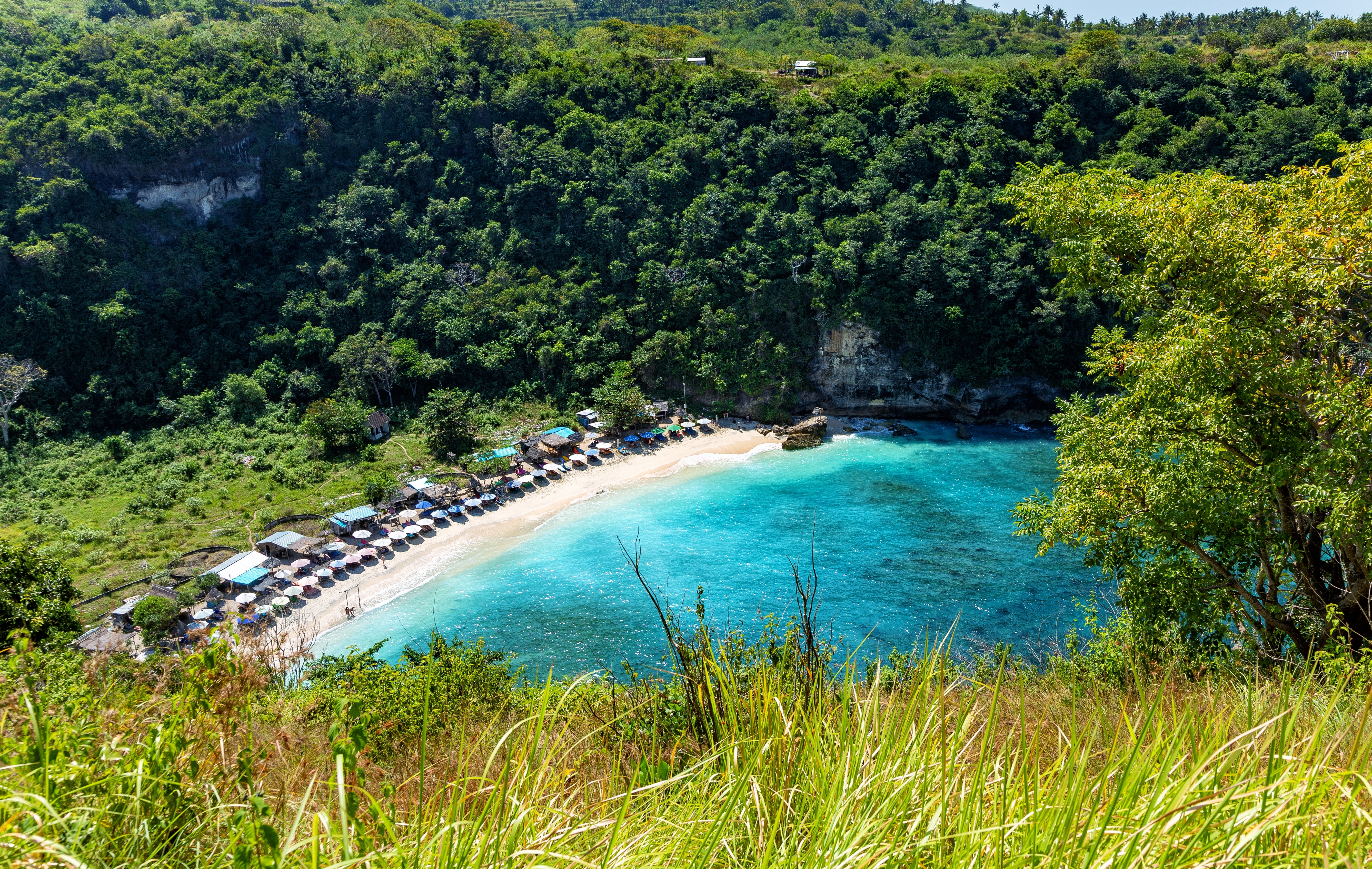 Shutterstock 2632186031