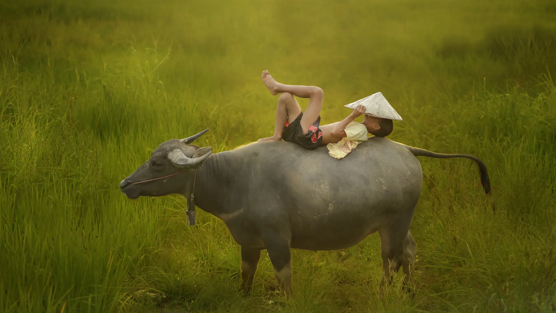 Adobestock 69792629