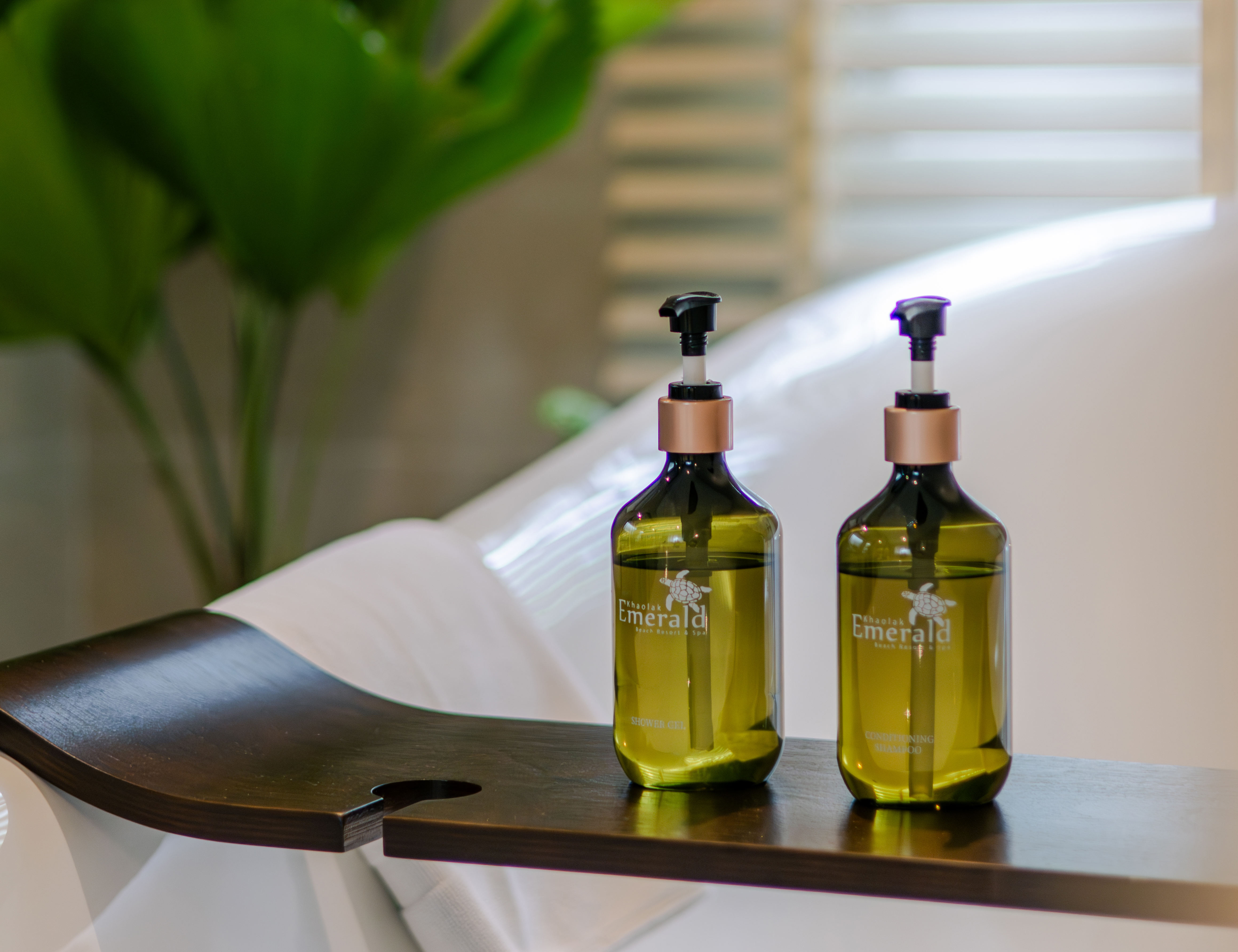 Beach Front Villa (34)