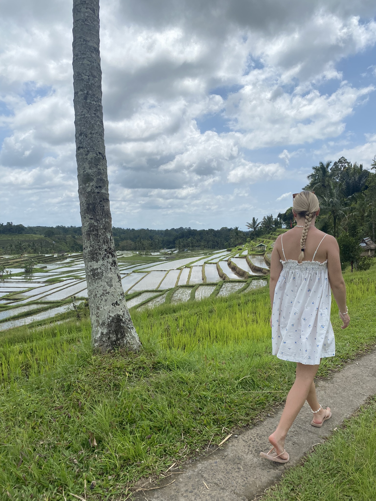 Jatiluwih Risterrasser Paa Bali