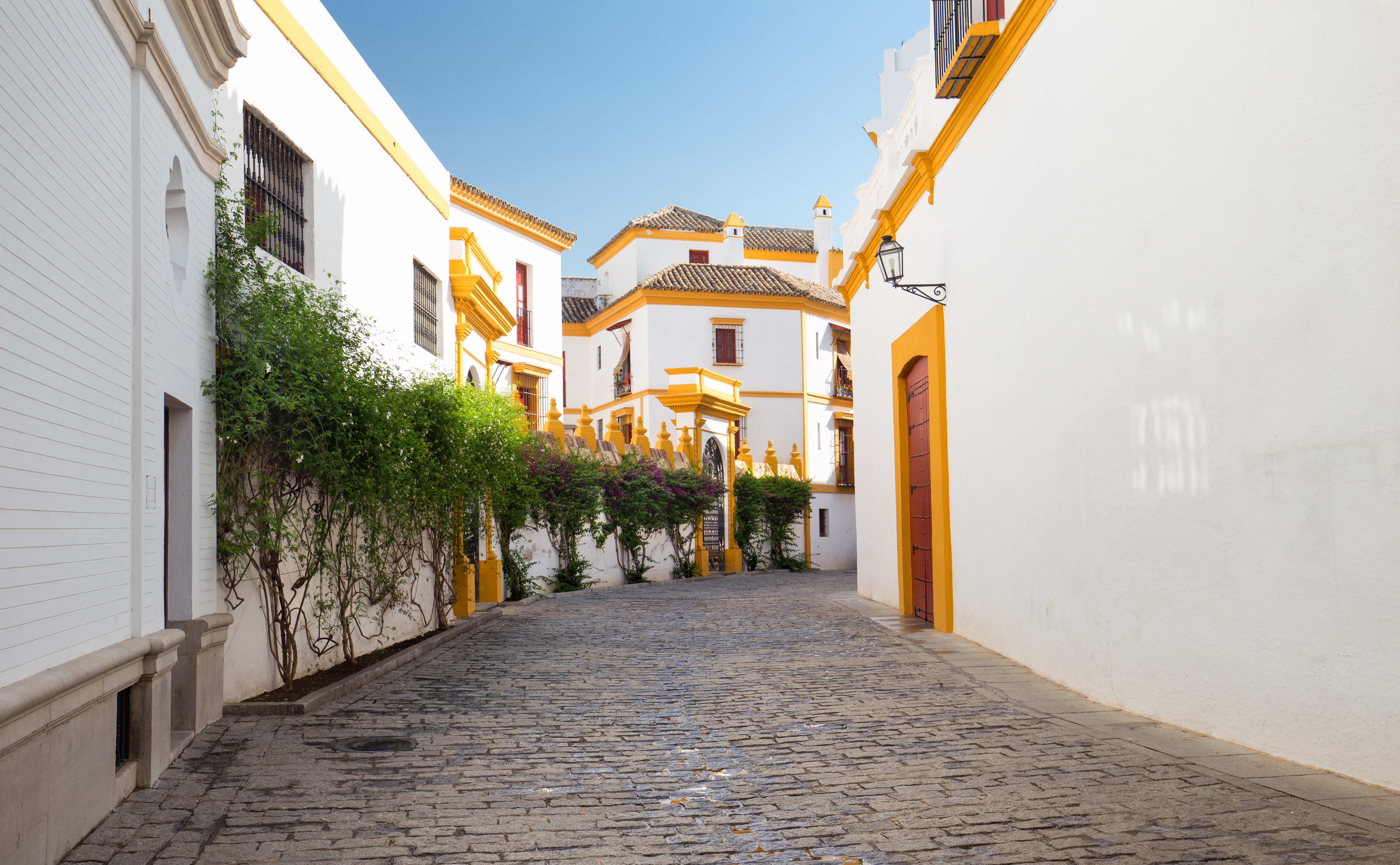 Sevilla Barrio Santa Cruz Shutterstock 1271708455