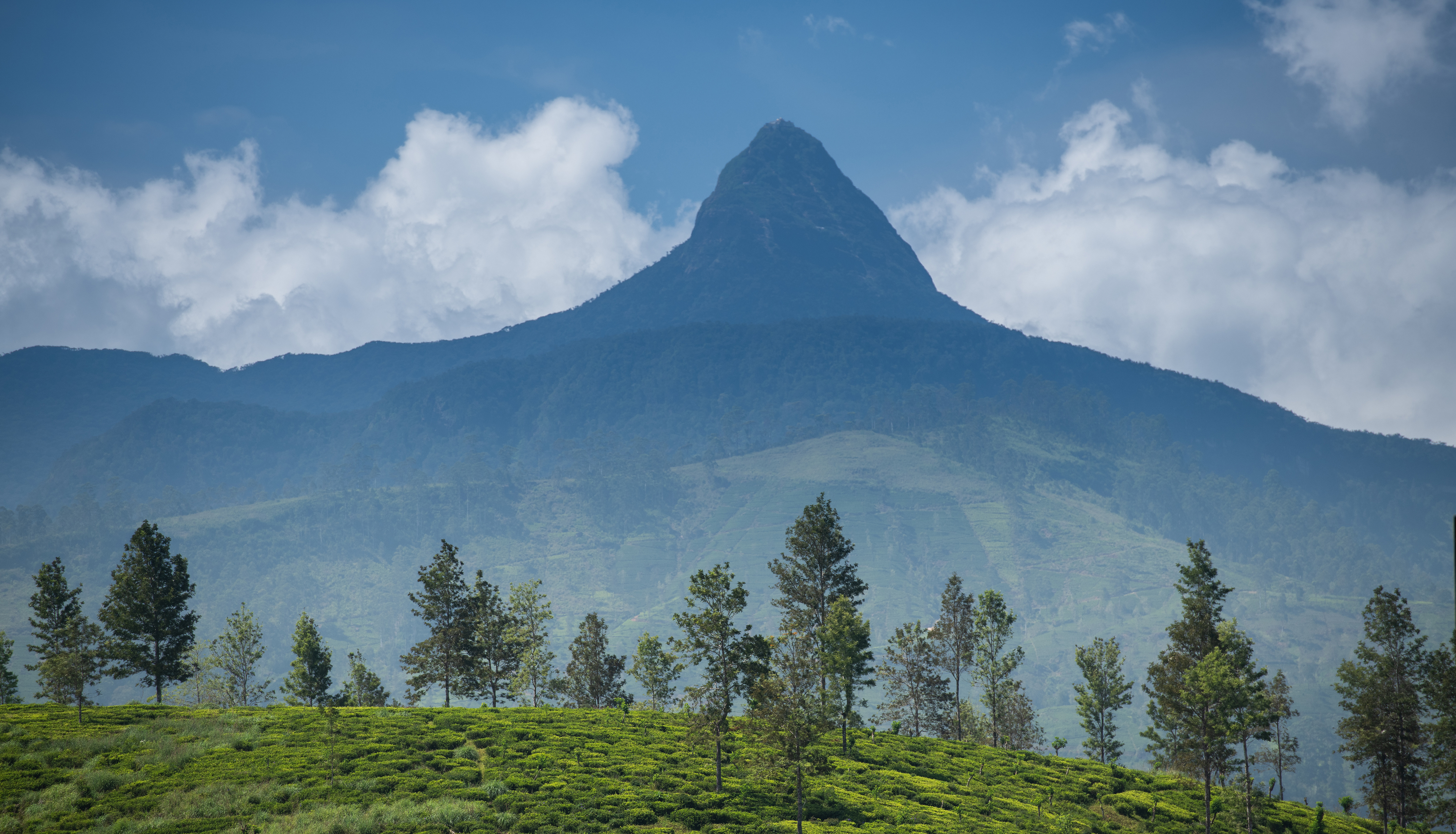 Adobestock 290804520