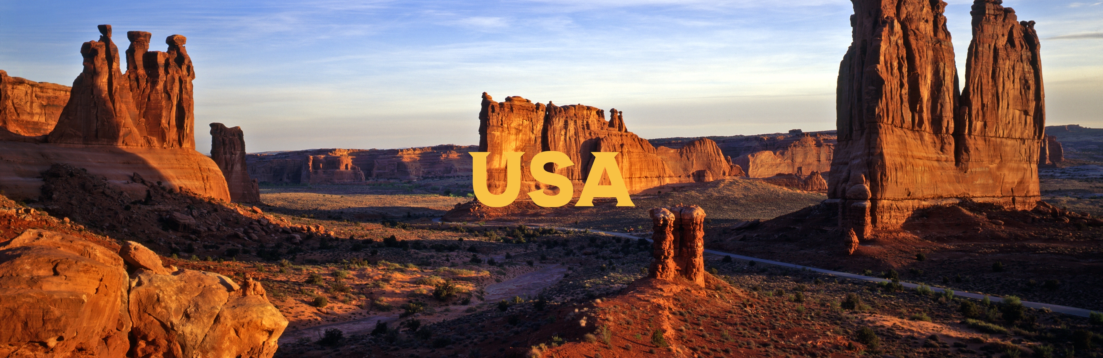 Rejser til USA