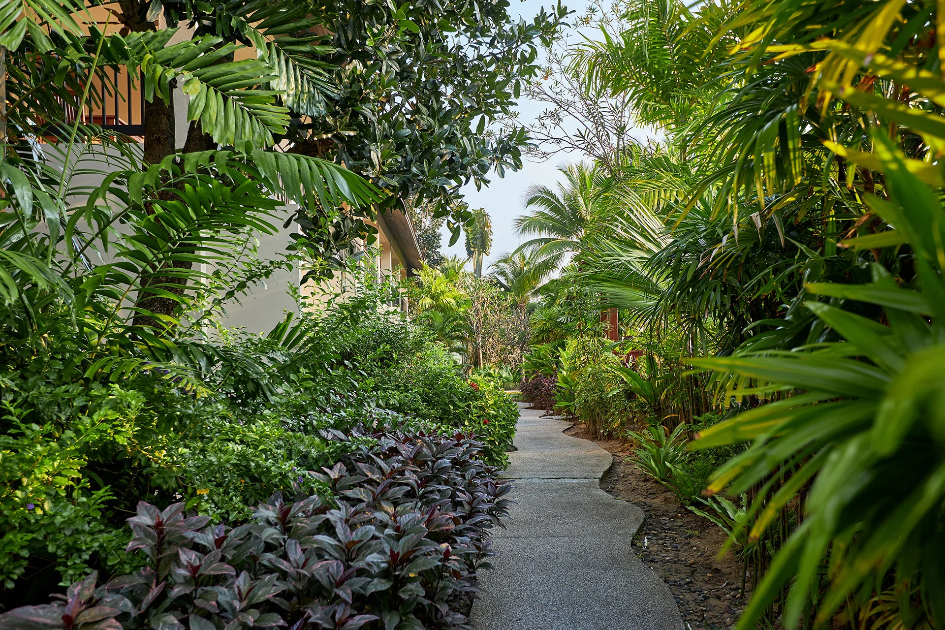 Bandarasamui Facility20