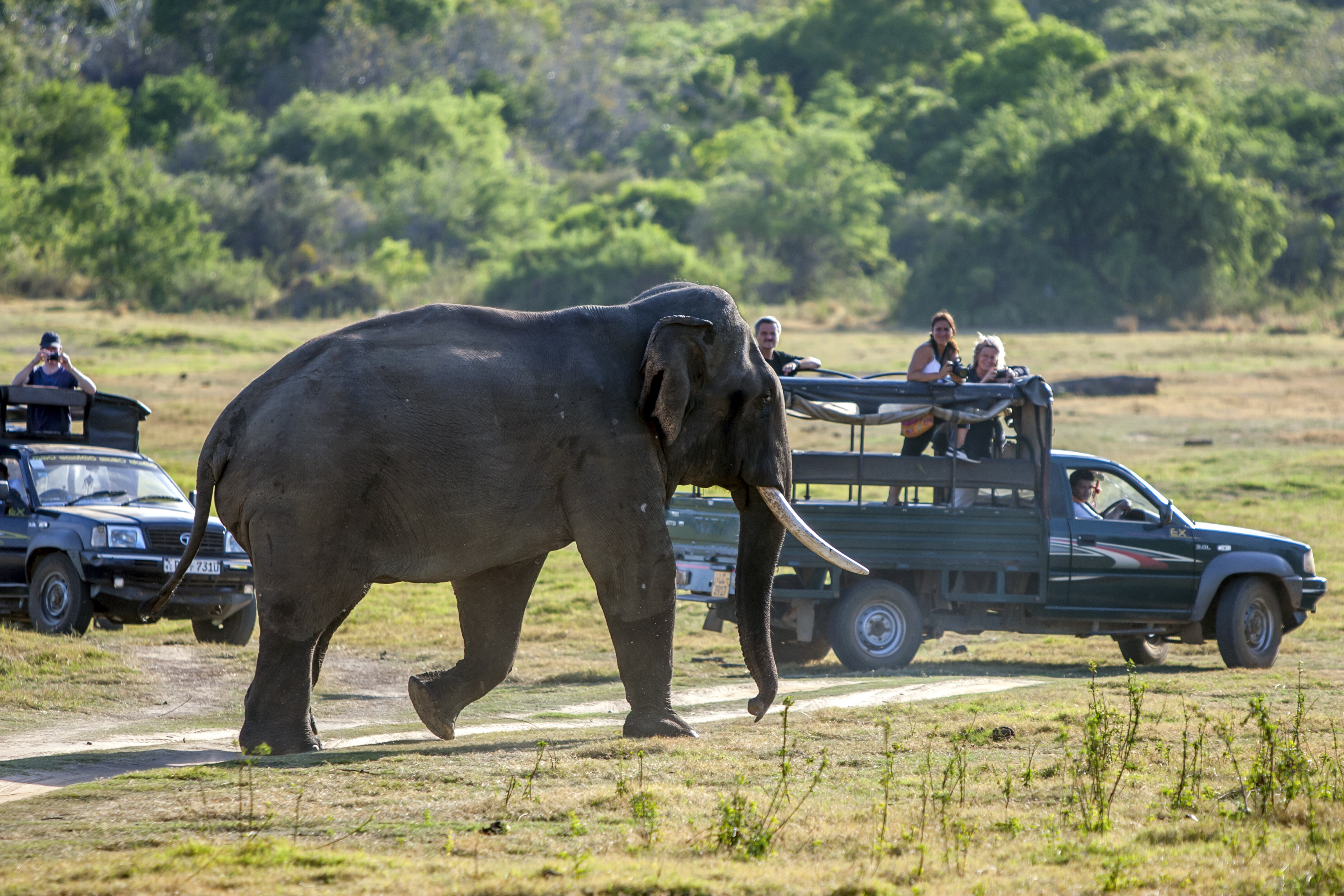 Shutterstock 617801435