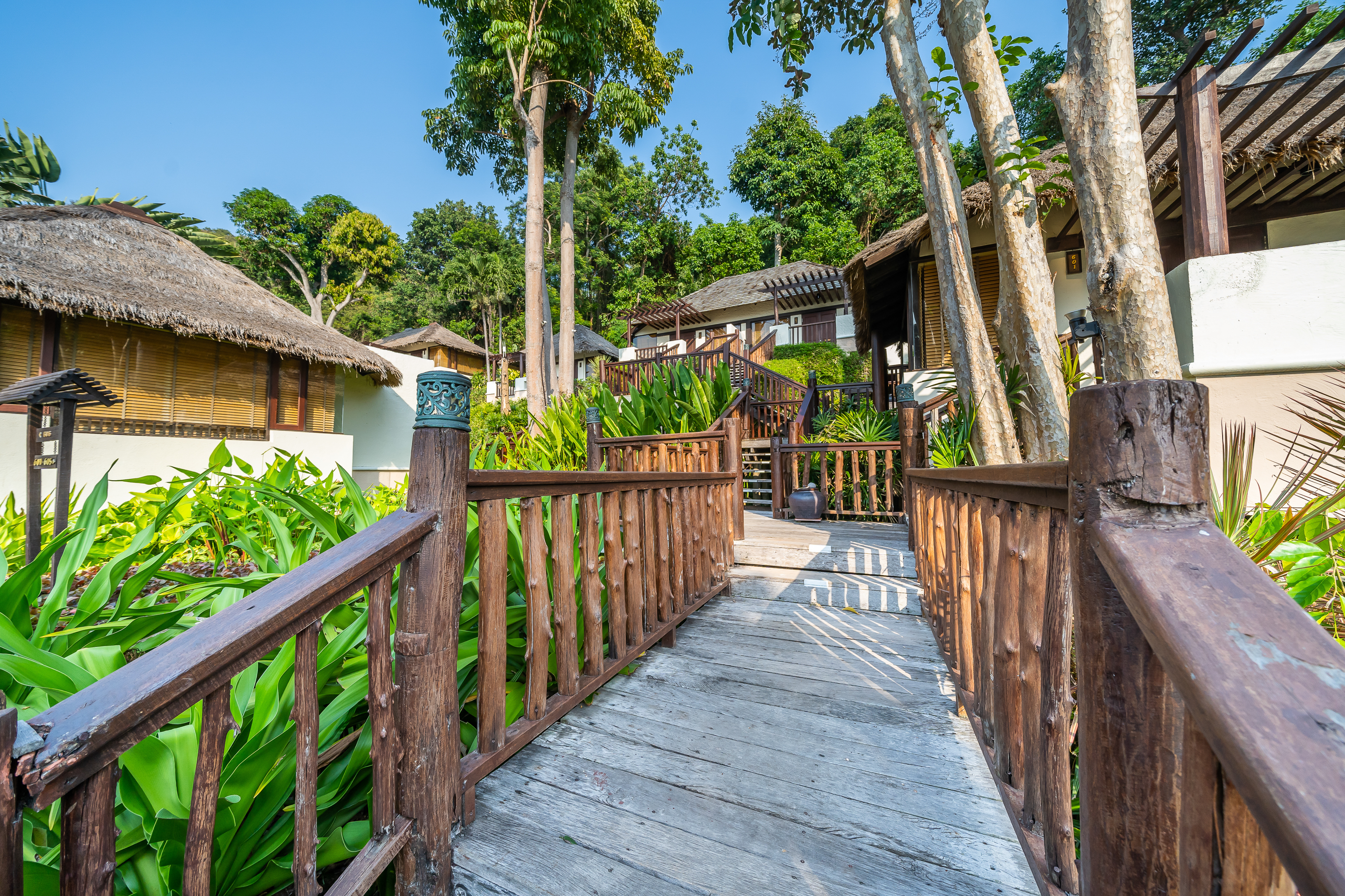 Deluxe Cottage Hillside 1