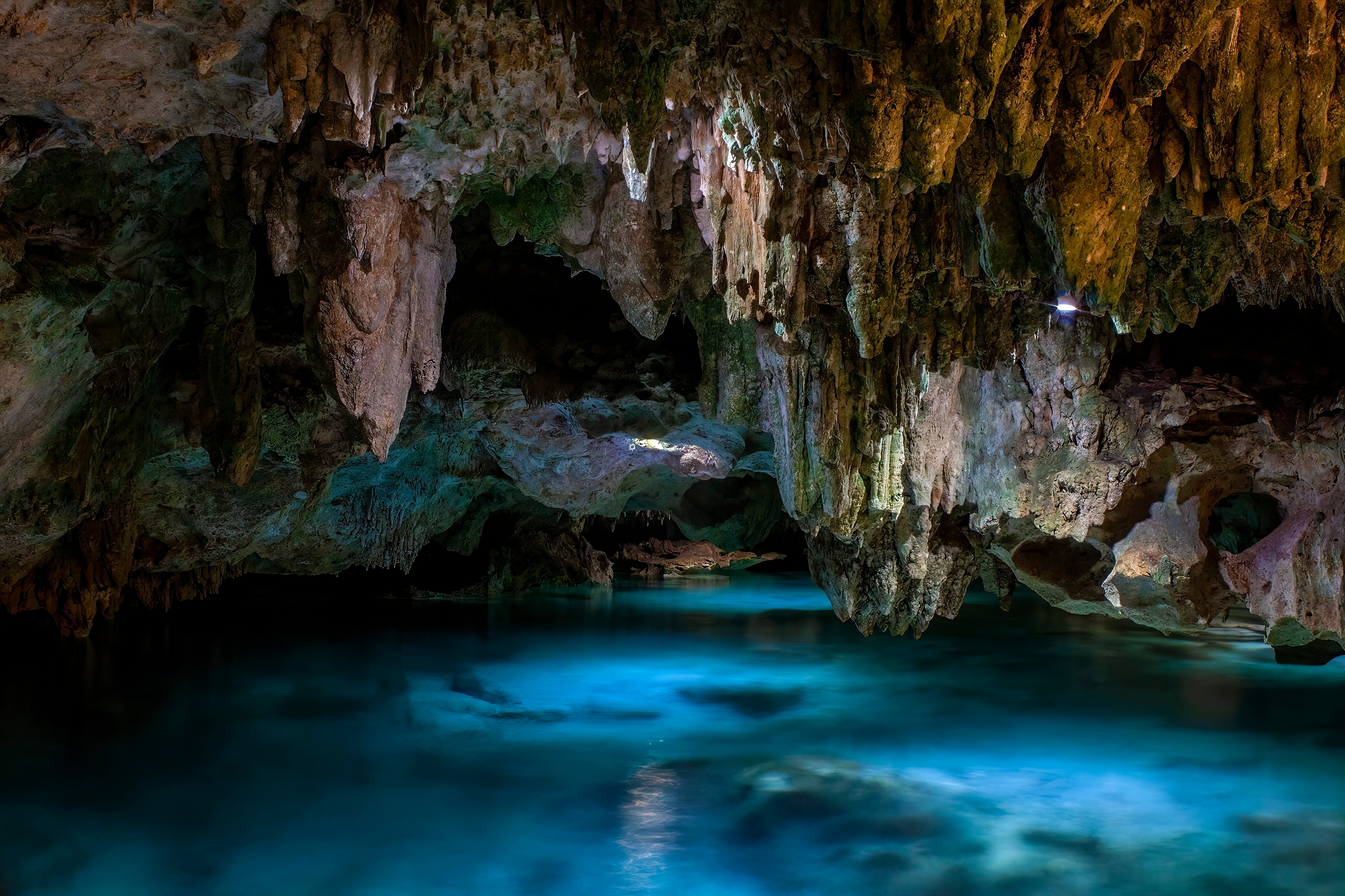 Shutterstock 2271444833 Ecopark Kantun Chi Underground Cenote, Puerto Aventuras, Quintana Roo, Mexico