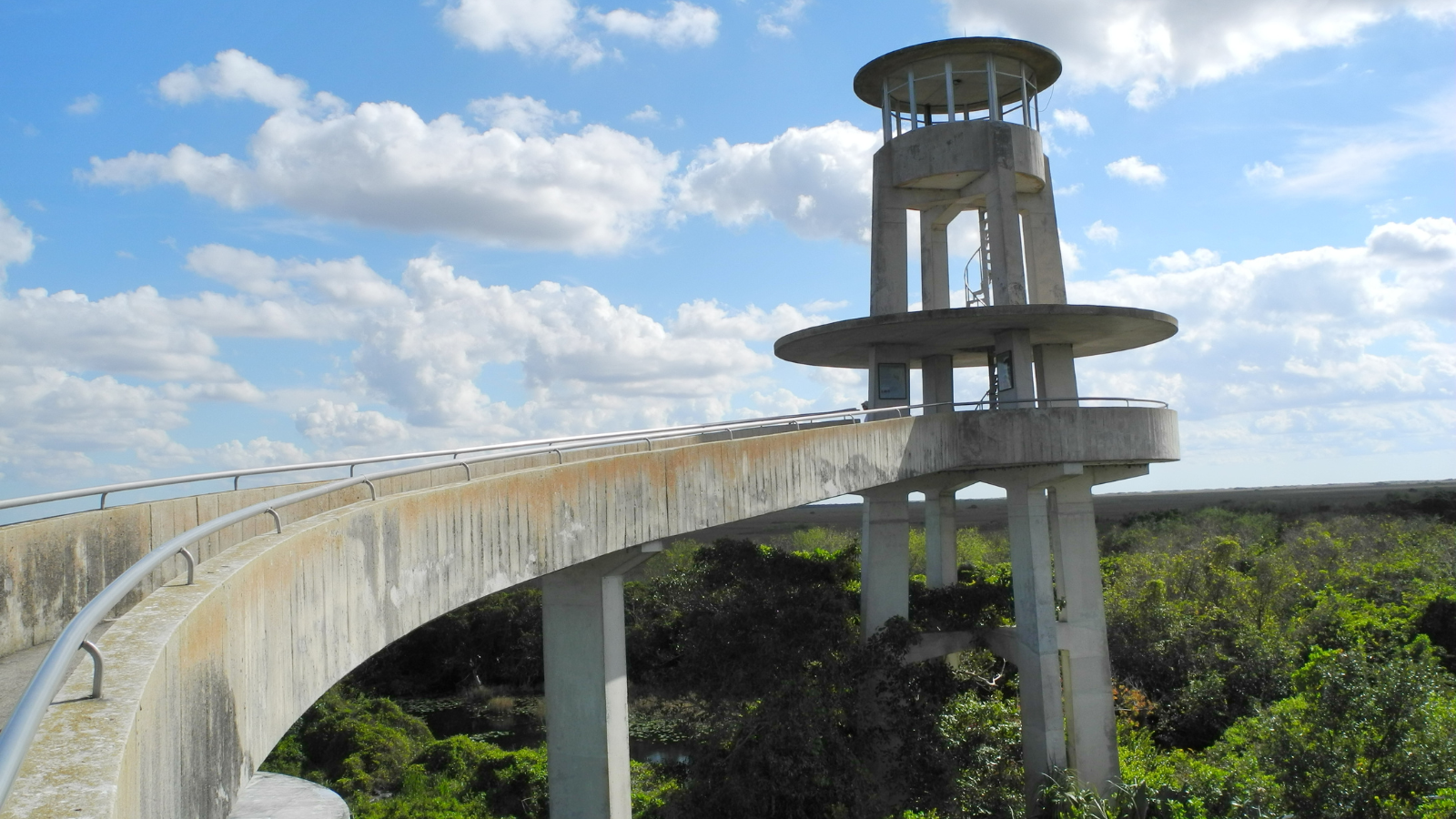 Shark Valley Everglades