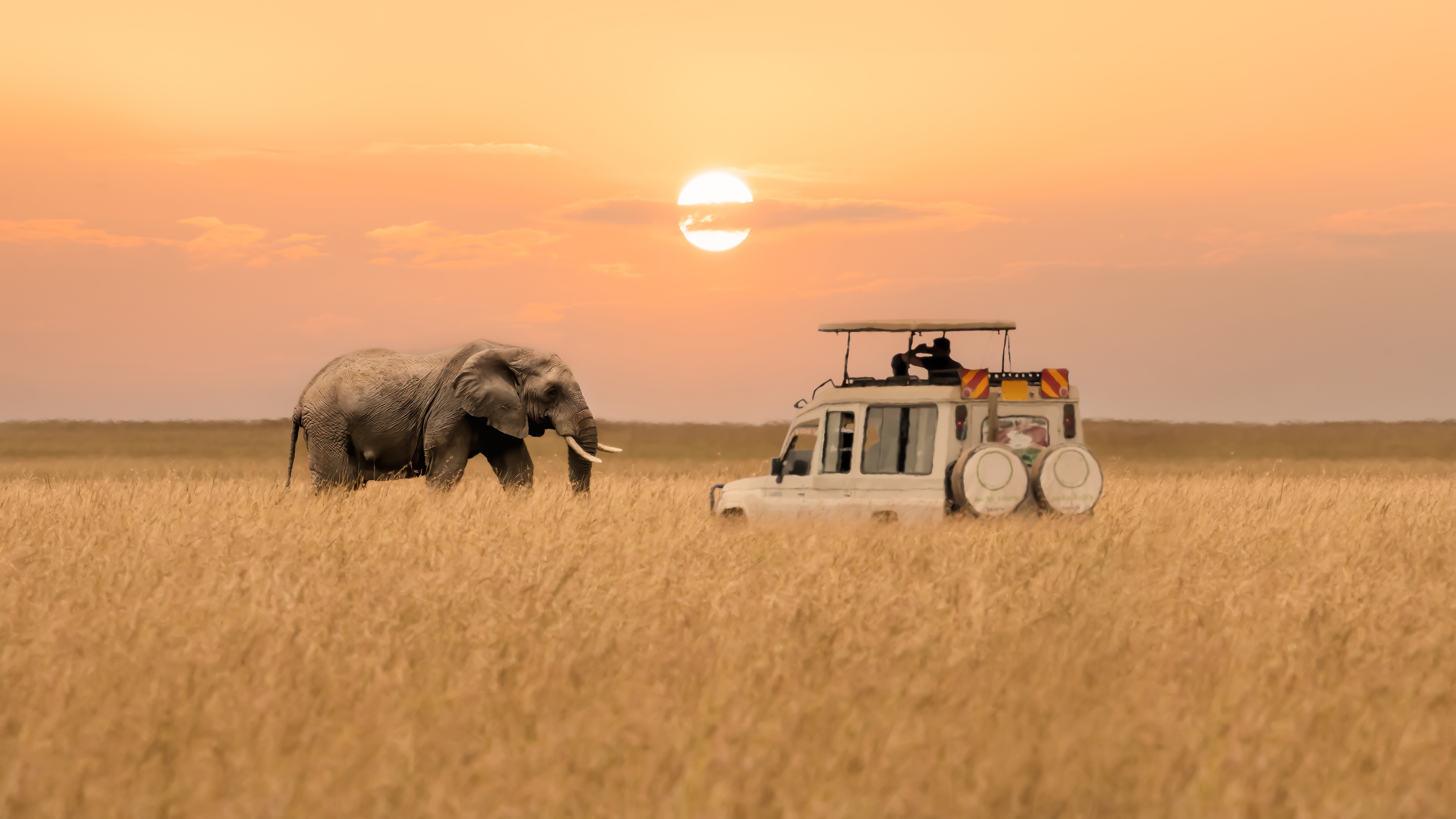 Masai Mara Safari