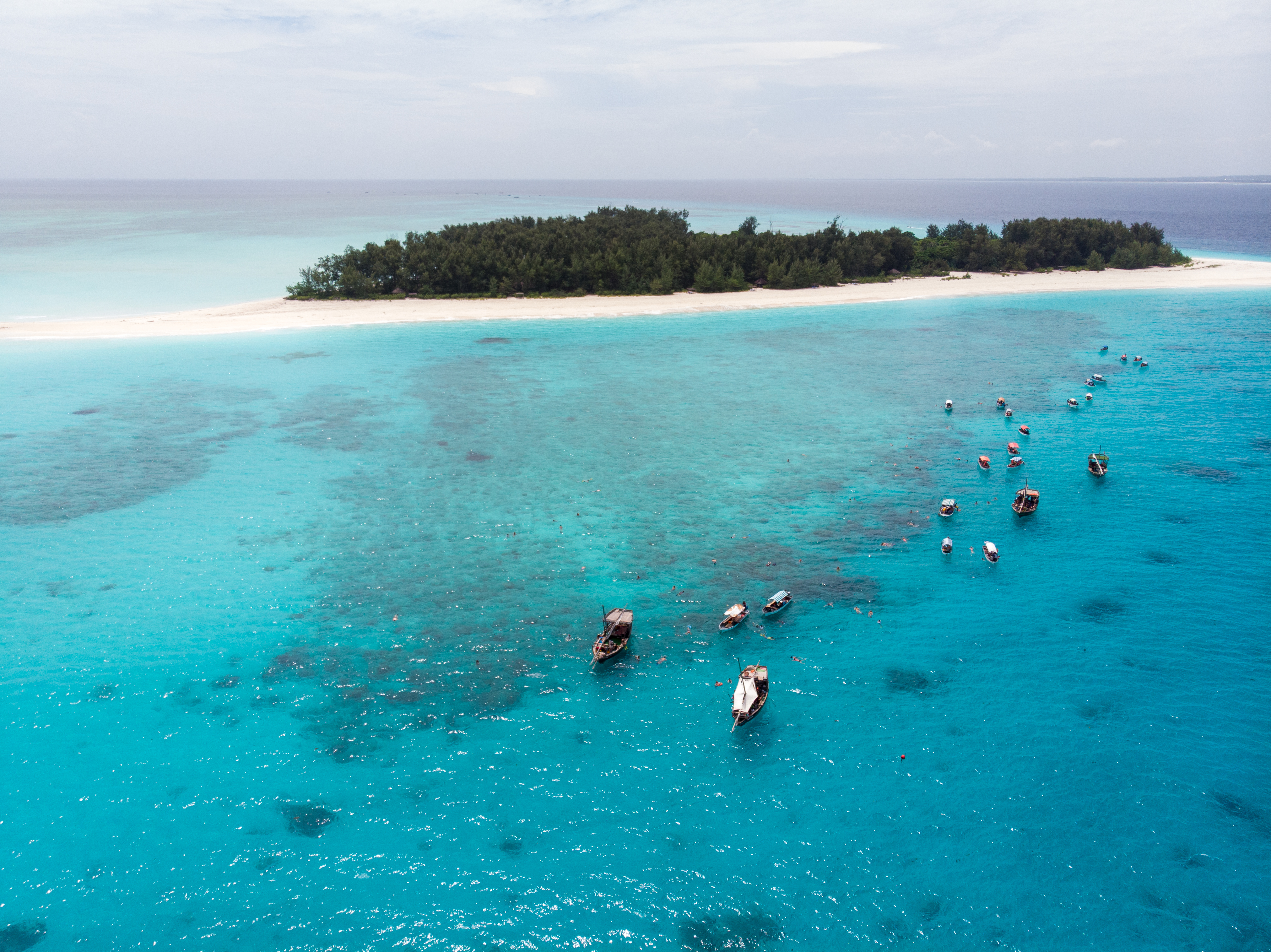 Shutterstock 1787430554