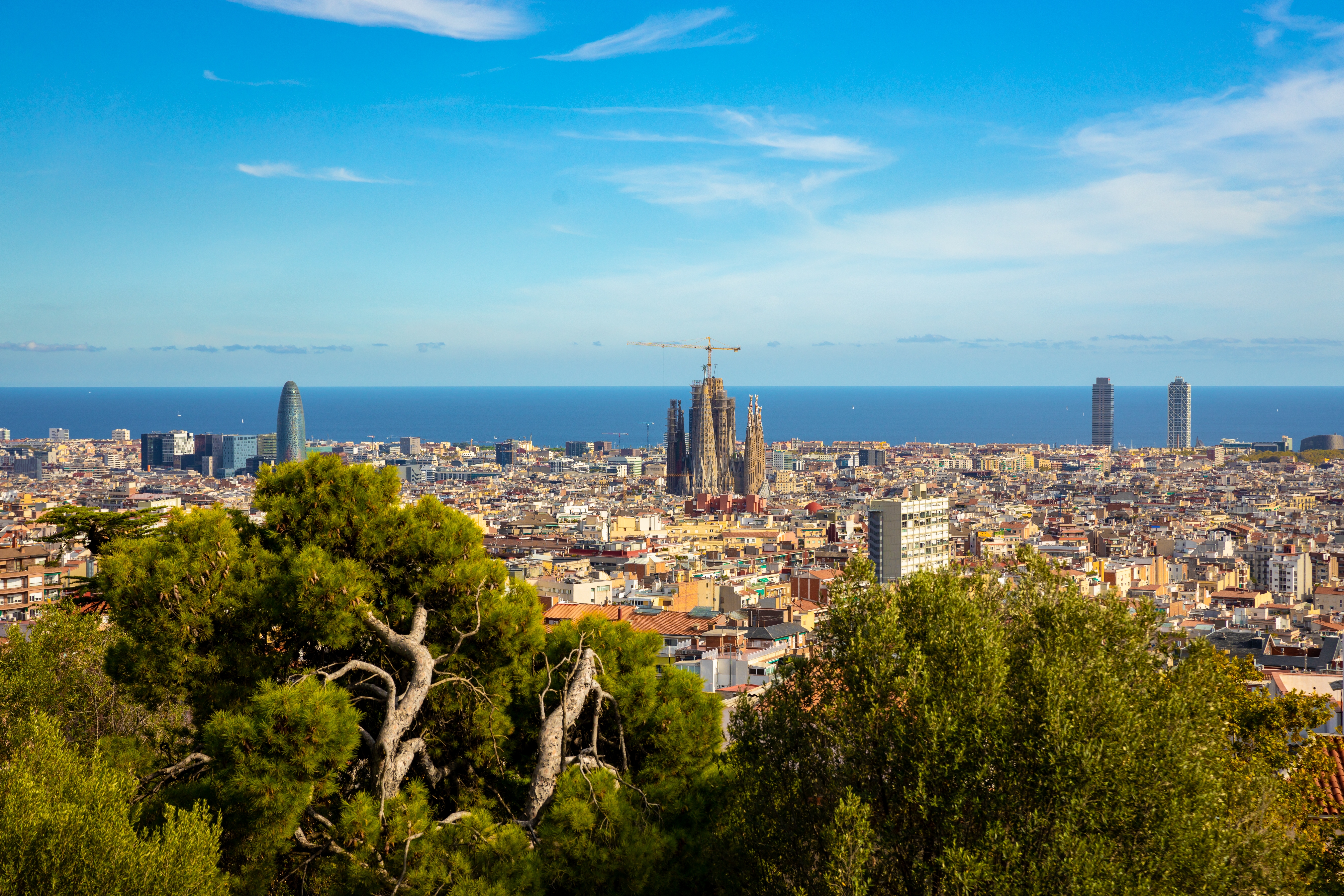 Shutterstock 2411598265 (The View Of Barcelona And Sagrada Familia From Park Guell, Designed By The Architect Antoni Gaudi. High Quality Photo)