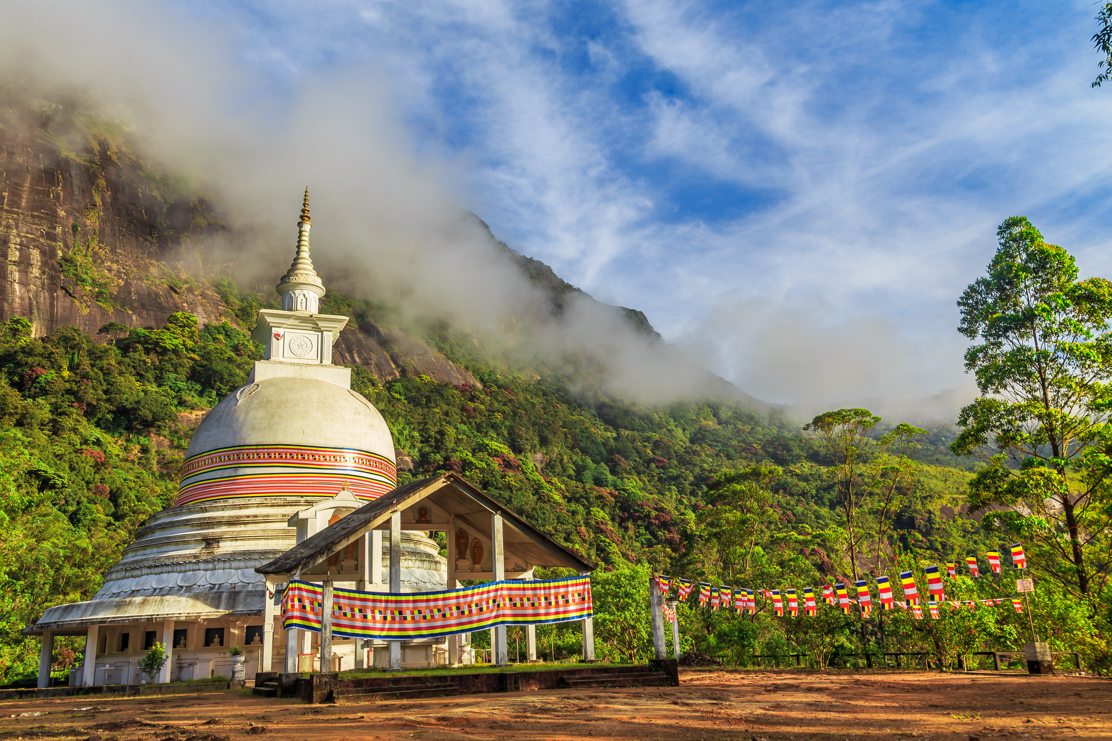 Adobestock 158959225