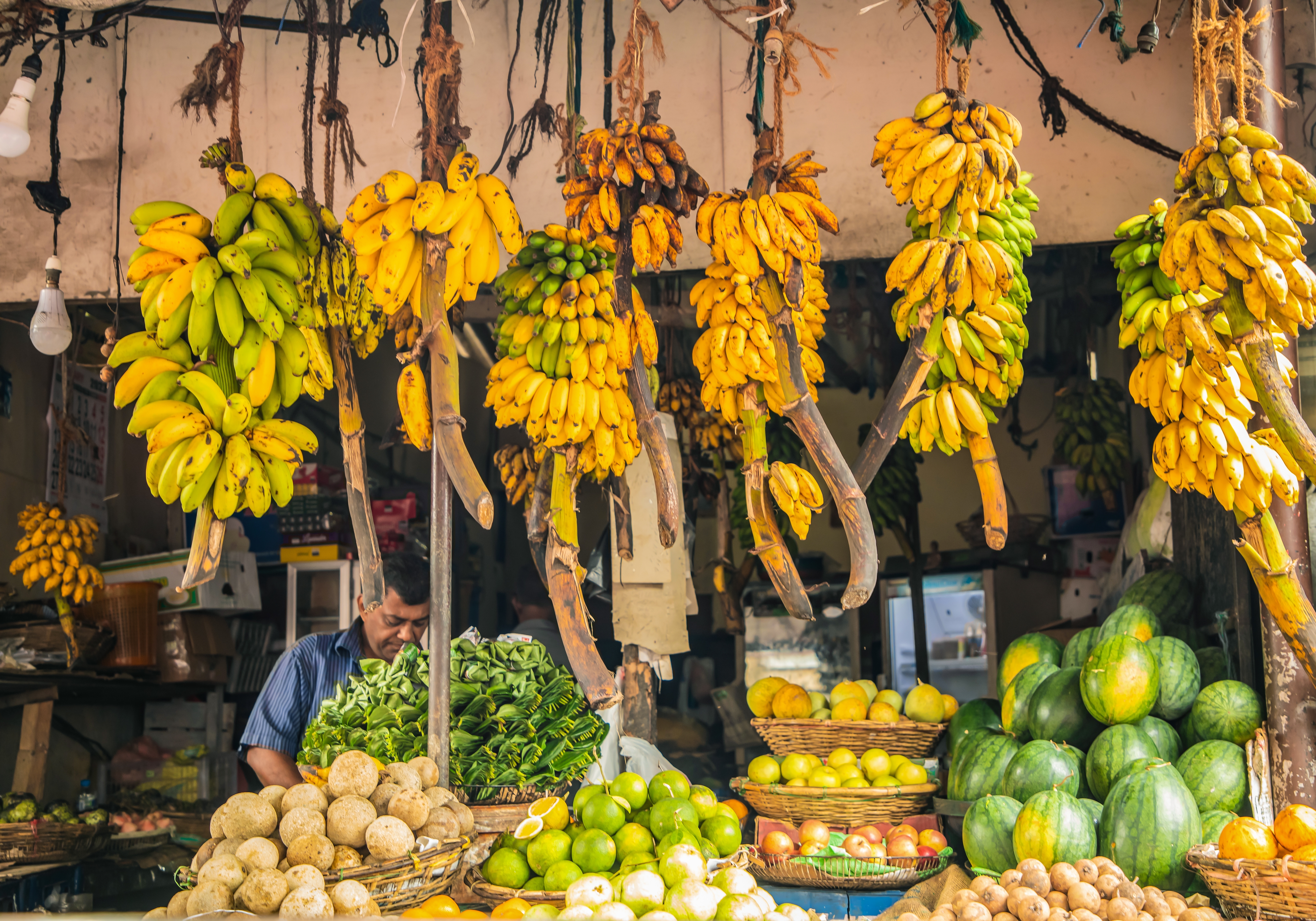 Shutterstock 2353365691