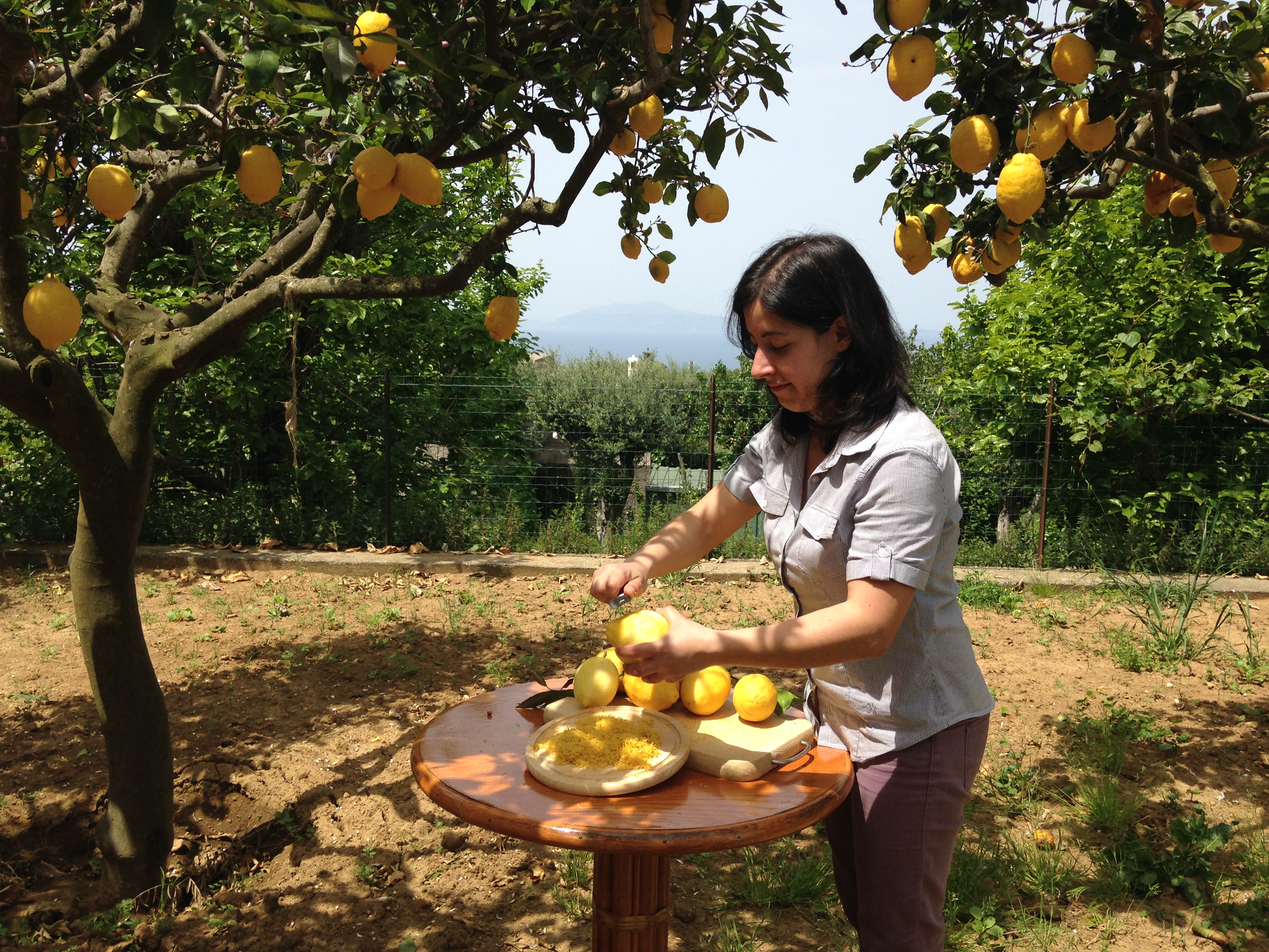 Hotel Al Mulino Anacapri Esperienza Per Gruppi Limoncello