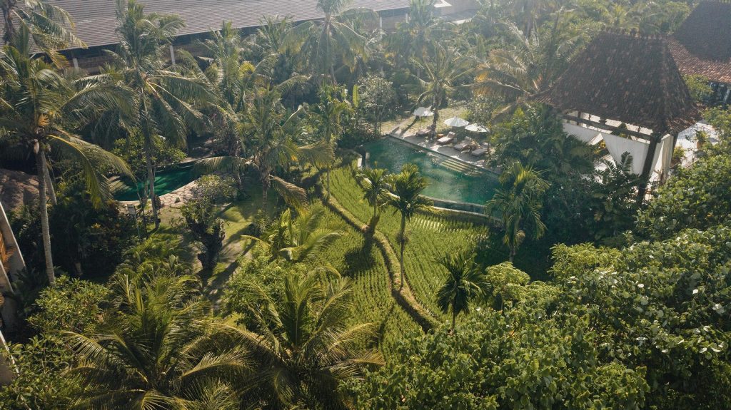 Alaya Resort Ubud (9)
